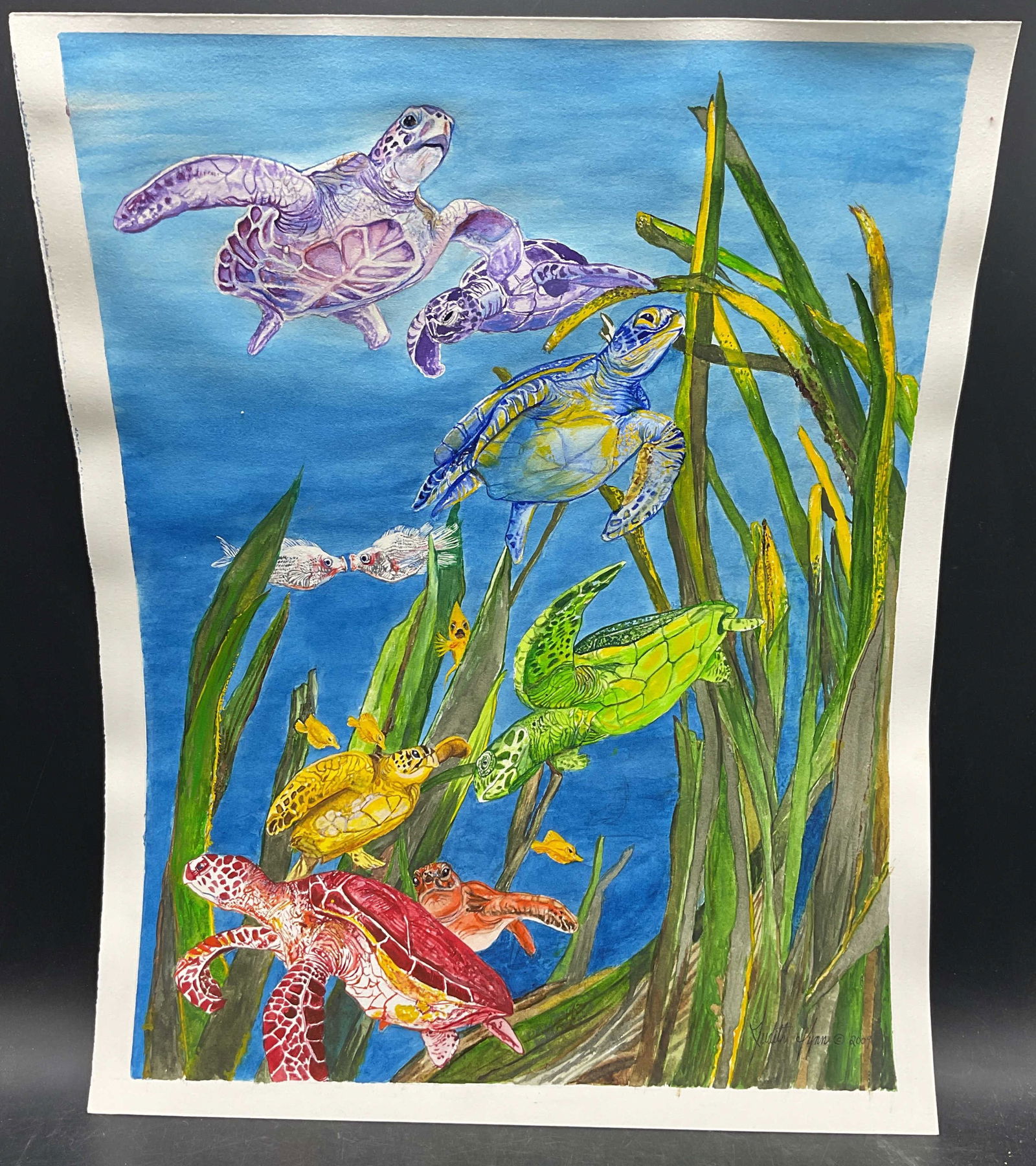 Judith Lynn Rainbow Turtles Watercolor Painting: Watercolor painting on paper. Signed Judith Lynn. Rainbow Turtles. Measures approx. 18 x 14 inches. Some wear consistent with exposure. Property of opera singers estate from the renowned and