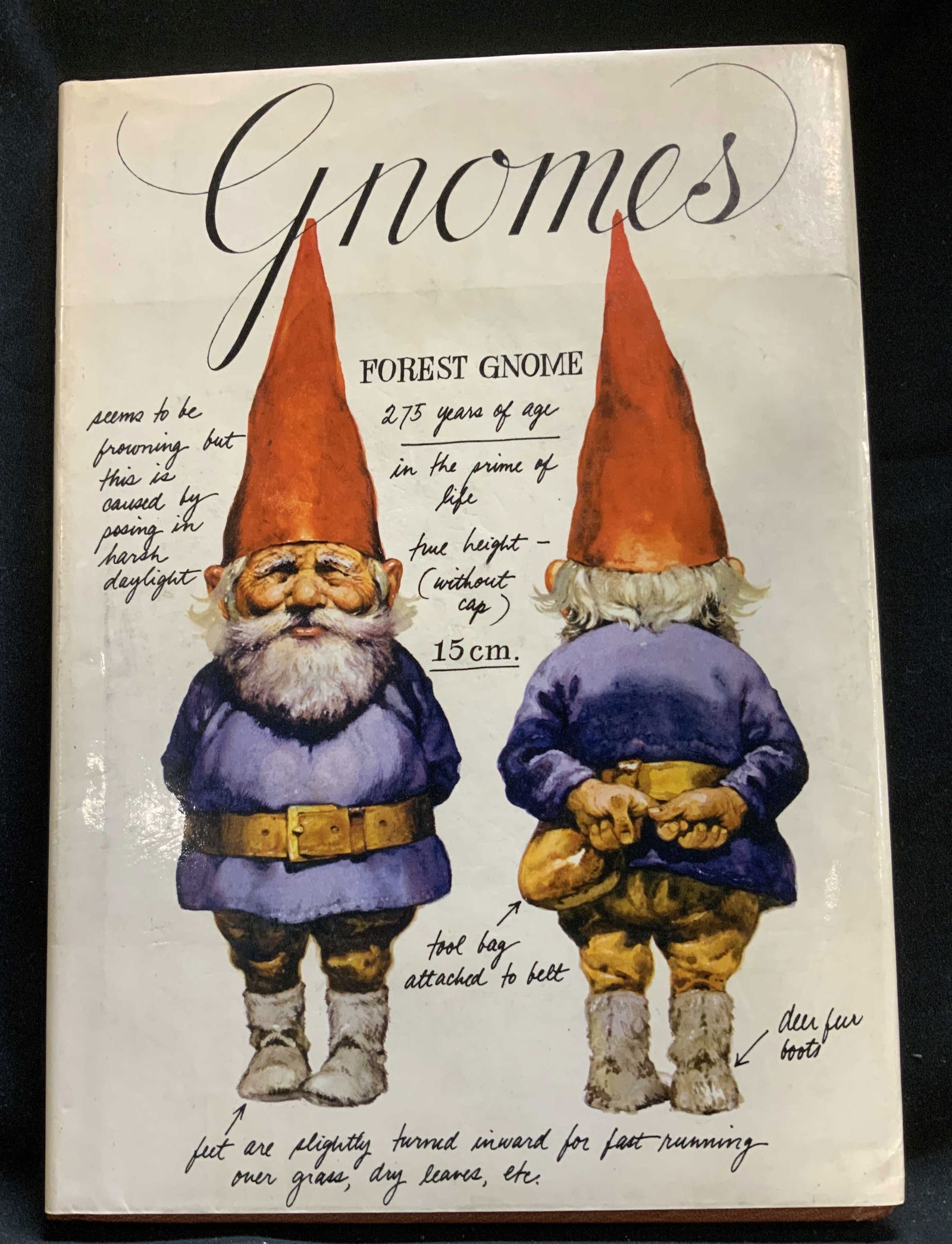 1977 Gnomes Illustrated Book HUYGEN+ NY (1 of 8)