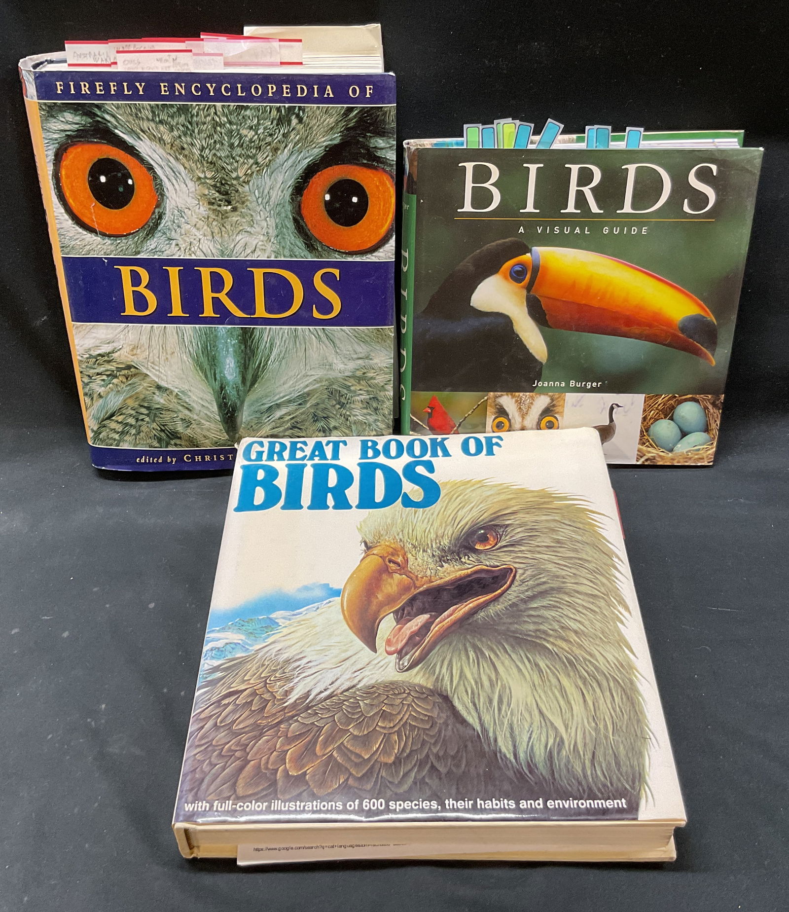 Lot 3 Birds Illustrated Bks 1990s-2000s Burger+: Lot of 3 books. Birds A Visual Guide by Joanna Burger, published by Firefly Books, 2006. Firefly Encyclopedia Of Birds edited by Christopher Perrins, published by Firefly Books, 2003. Great Book