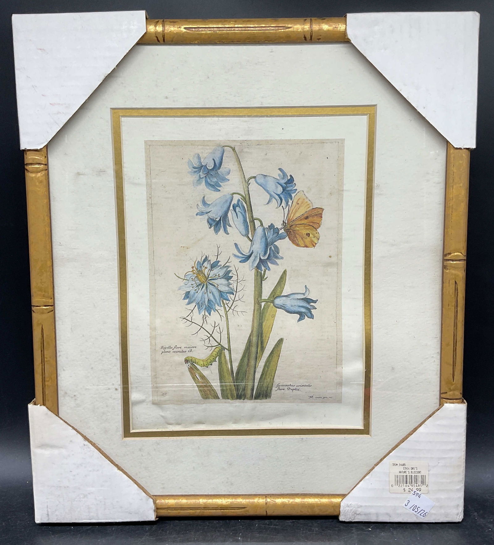 Framed Hyacinth & Nigelle Botanical Lithograph: Framed and matted botanical lithograph. Hyacinth and nigelle. Gilt wood faux bamboo frame. Not examined out of frame. Frame measures approx. 15 x 13 inches. Wear including warping and buckling to
