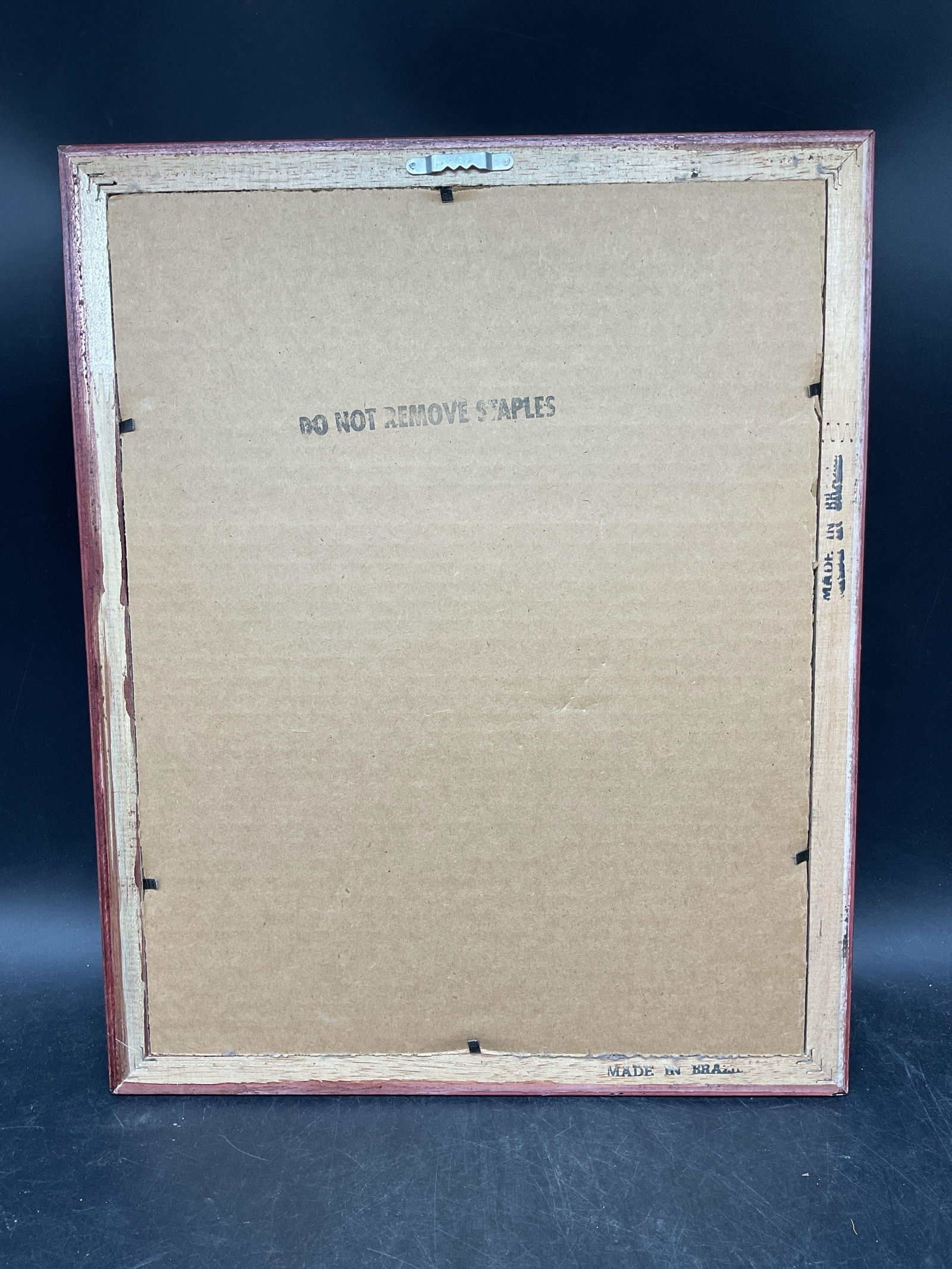 Framed Iris & Violet Botanical Lithograph - 6