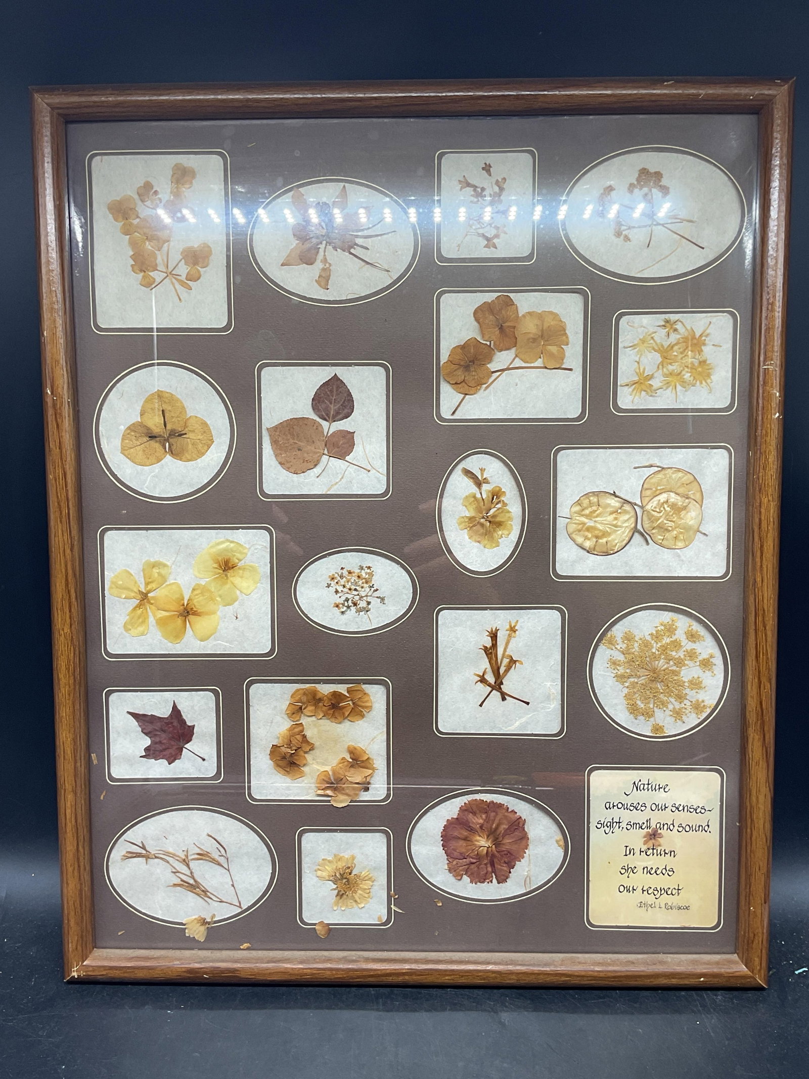 Framed Ethel Robiscoe Botanical Folk Art 21in: Framed botanical folk art. Pressed flowers and leaves arranged with mat. Artist name printed, Ethel L Robiscoe. Wood frame. Not examined out of frame. Frame measures approx. 21 x 17 inches. Wear inclu