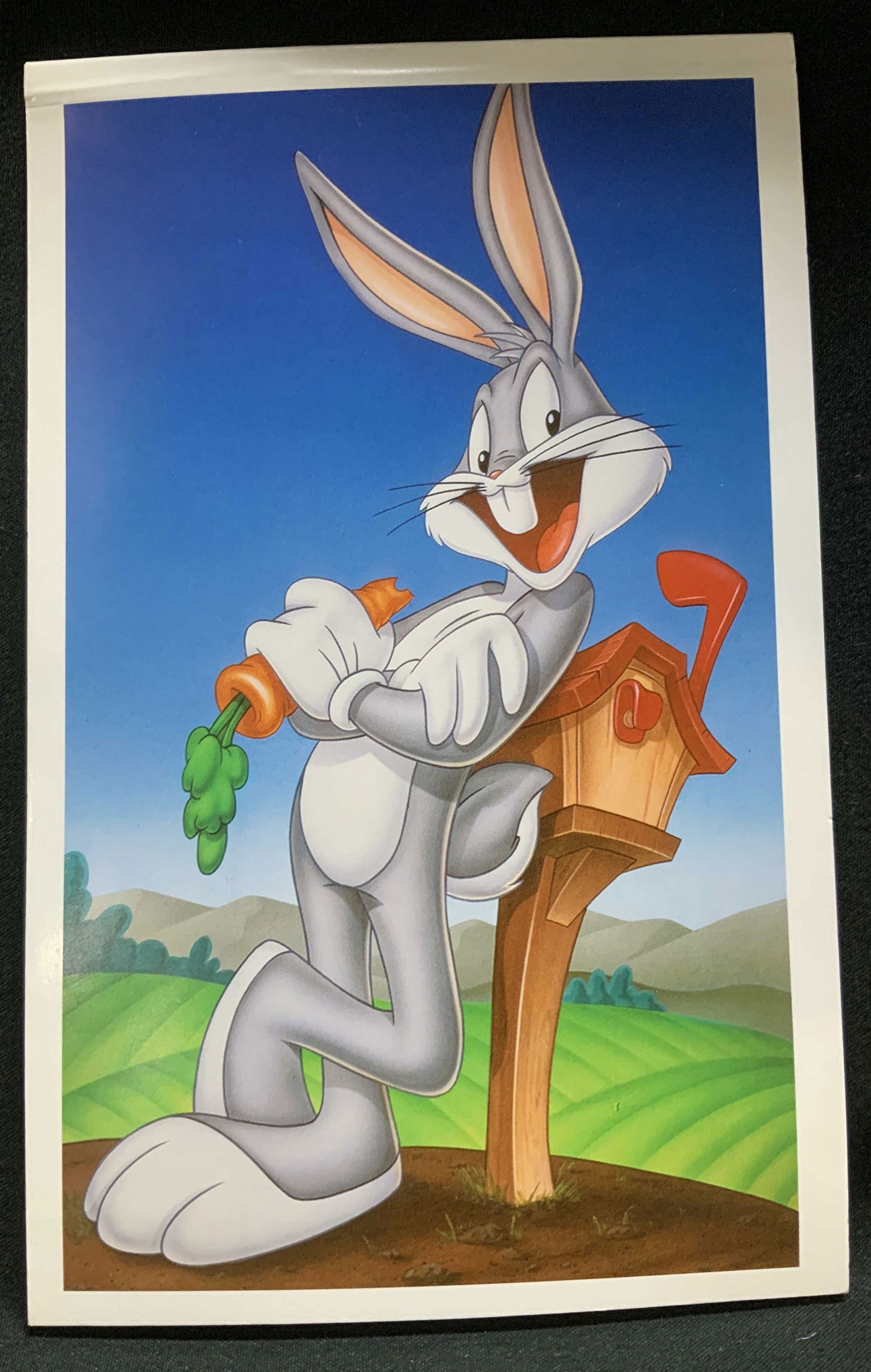 10 1997 US Postal Bugs Bunny Post Cards Pre-Stamped (1 of 6)