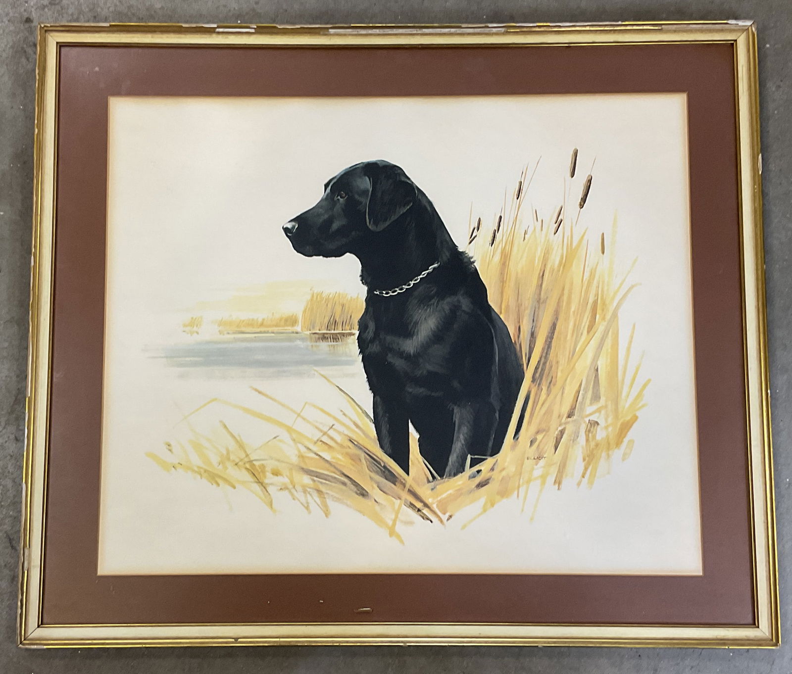 Framed Elliott Black Lab Dog Lithograph 27in: Framed and matted lithograph. Artist in print, Elliott. Black lab. Dog. Gilt wood frame. Not examined out of frame. Frame measures approx. 23 x 27 inches. Some wear consistent with exposure. Art, fine