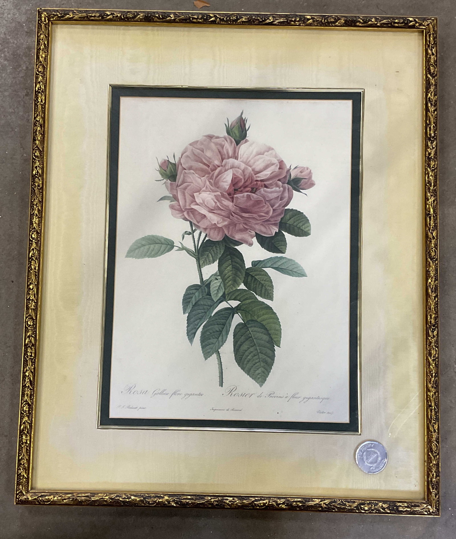 Framed Bombay Co Redoute Rose Repro Print 28in: Framed and matted reproduction print. Published by The Bombay Company. After Pierre Joseph Redoute, The Rose. Decorative gilt wood frame. Not examined out of frame. Frame measures approx. 28.25 x 23.2