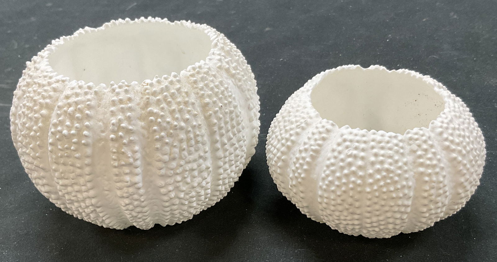 Lot 2 Bone China Candle Holder Philippines: Lot of 2 white bone china sea urchin style candle holder. Marked made in Philippines on underside. Ribbed surface. Scalloped inner edge. Embossed texture. Largest measures ht approx 3 inches diam