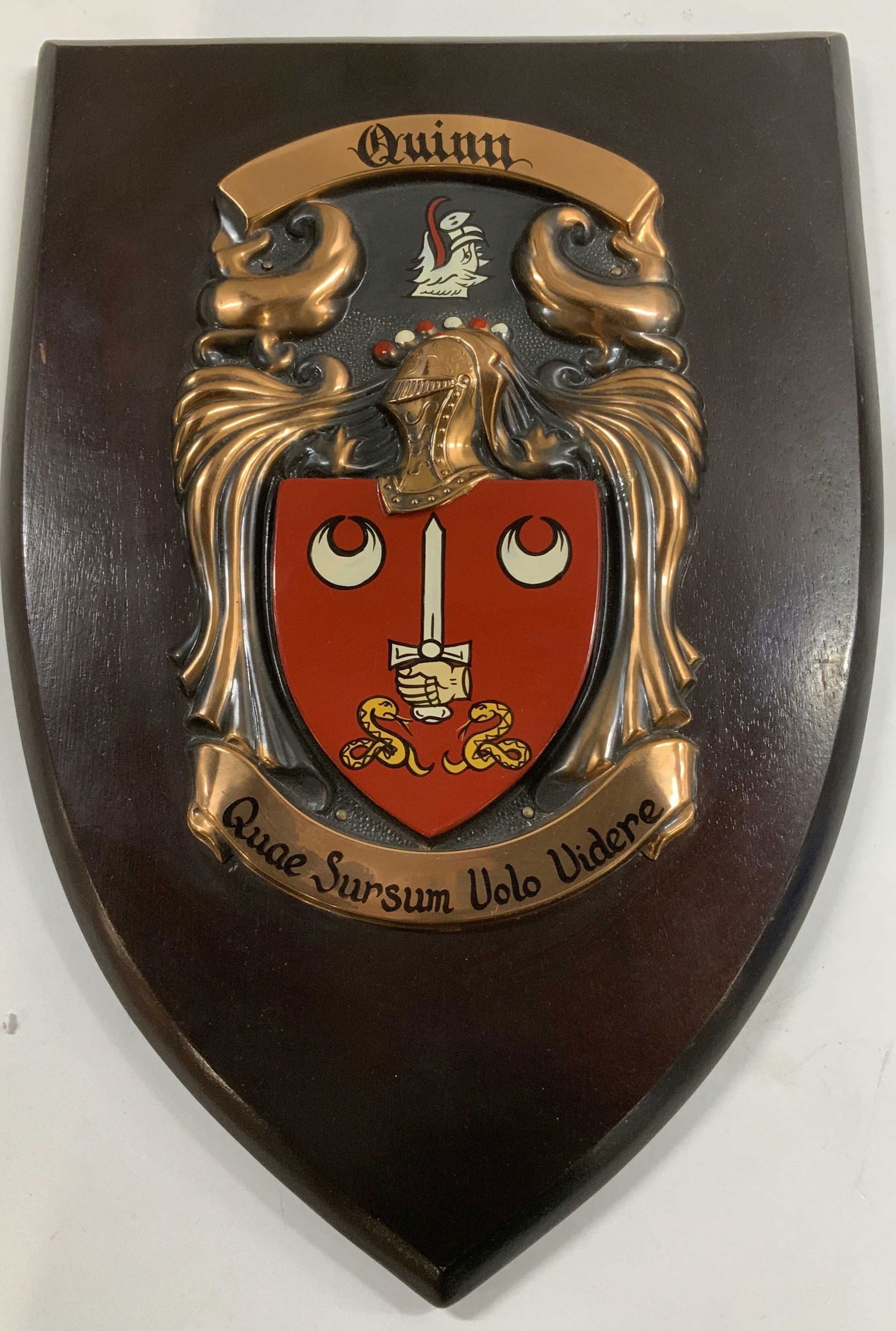 Quinn Quae Sursum Volo Videre Crest Wood Plaque: Decorative wooden wall plaque featuring the Quinn family crest & coat of arms. Emblem features a shield with a sword held by a hand. Copper toned. Latin motto, Quinn Quae Sursum Volo Videre. (I