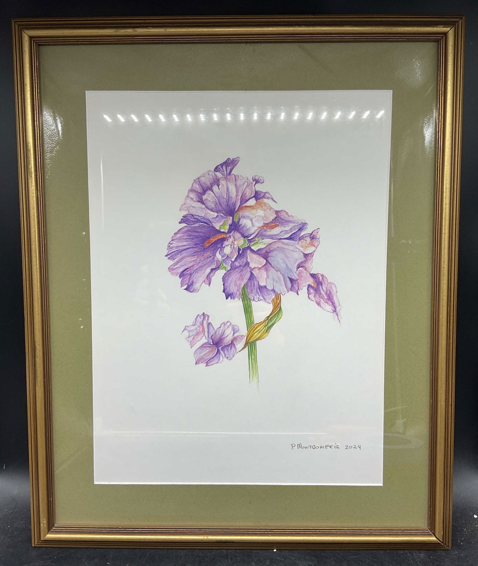 Sgn Montgomerie Flower Watercolor Painting 21in: Framed and matted watercolor painting. Signed P. Montgomerie, 2024. Purple flower. Gilt wood frame. Not examined out of frame. Frame measures approx. 21.75 x 17.75 inches. Some wear consistent