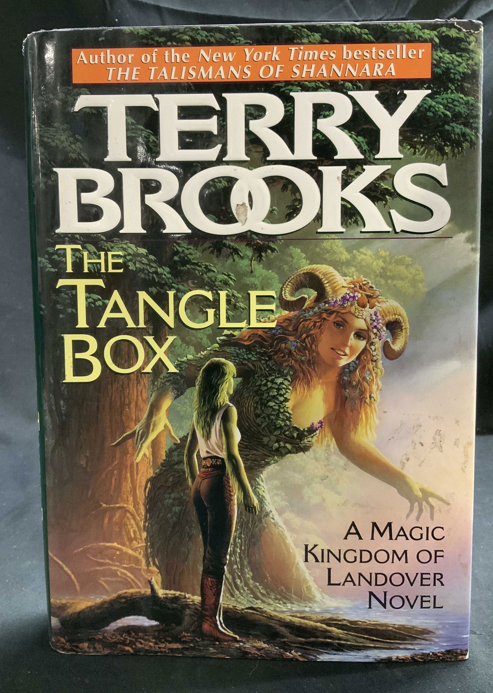 1994 The Tangle Box 1st Ed Novel BROOKS: The Tangle Box. A Magic Kingdom of Landover Novel. By Terry Brooks. A Del Rey Book. Ballantine Books. New York. Copyright 1994. First edition. Front cover features illustrations. Surface wear