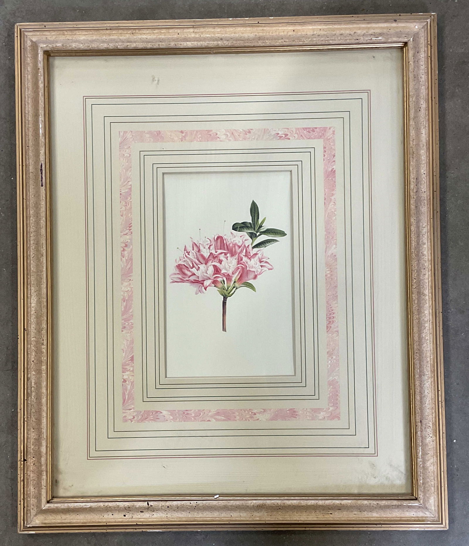 Framed Bombay Company Botanical Lithograph 23.25in: Framed and matted botanical lithograph. Labeled Bombay Company on verso. Pink flower. Gilt wood frame. Not examined out of frame. Frame measures approx. 23.25 x 19.25 inches. Wear including Art, fine
