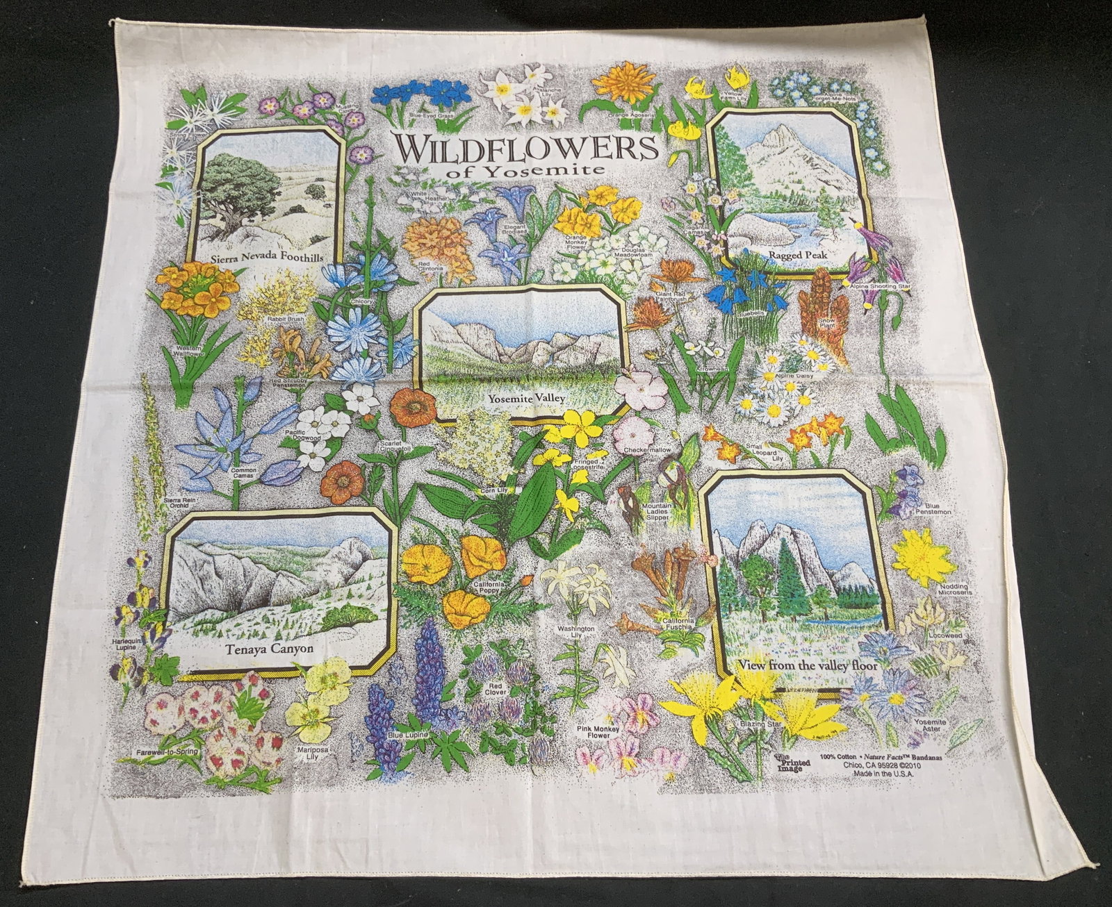 2010 The Printed Image Nature Facts Bandana: 100% cotton. The Printed Image Nature Facts bandana featuring illustrations of vibrant wildflowers of Yosemite. Visible labels. Signed & marked. Reads, The Printed Image. Nature Facts Bandanas. 2010.
