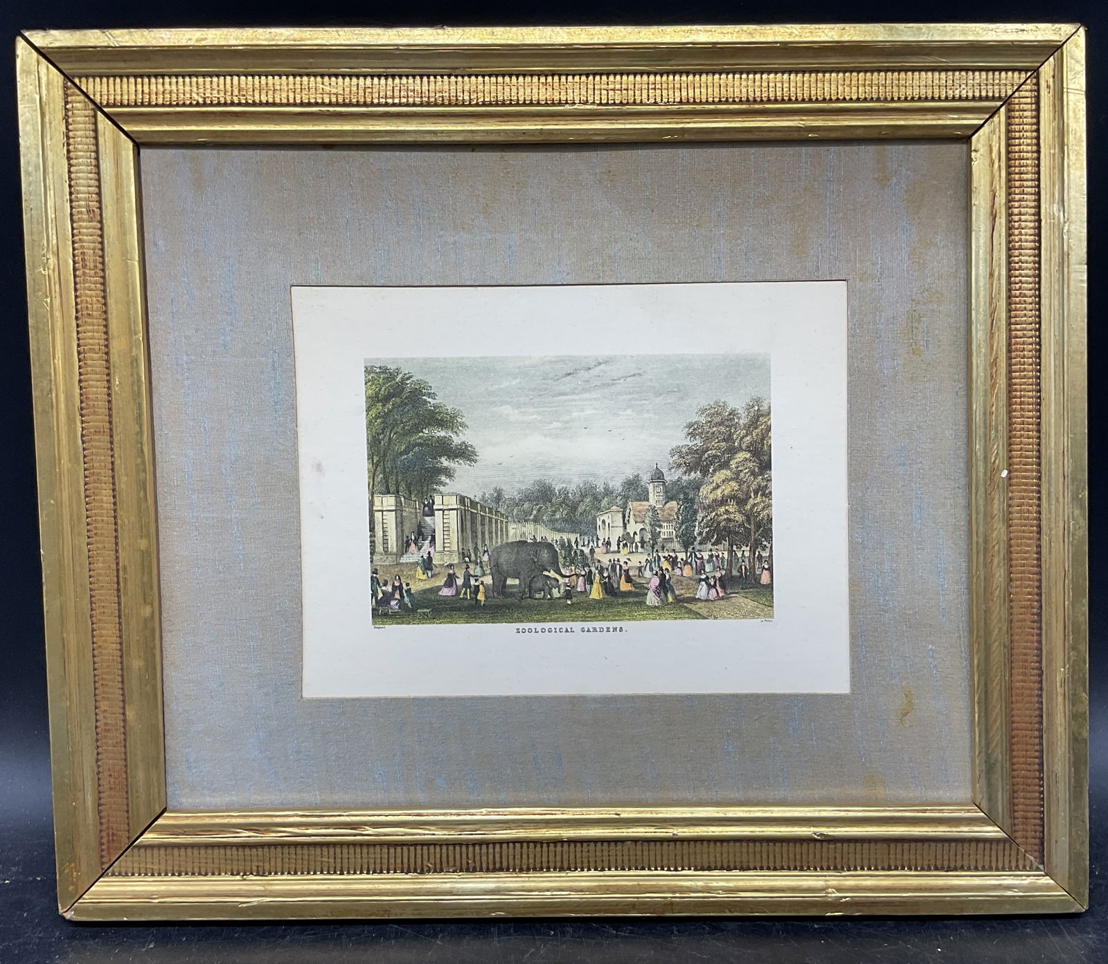 Framed Shepherd Zoological Gardens Engraving: Framed and matted hand colored engraving. After T. H. Shepherd and engraved by William Le Petit. Zoological Gardens, Regents Park, London. Publication date unknown. Decorative gilt wood frame. Not exa
