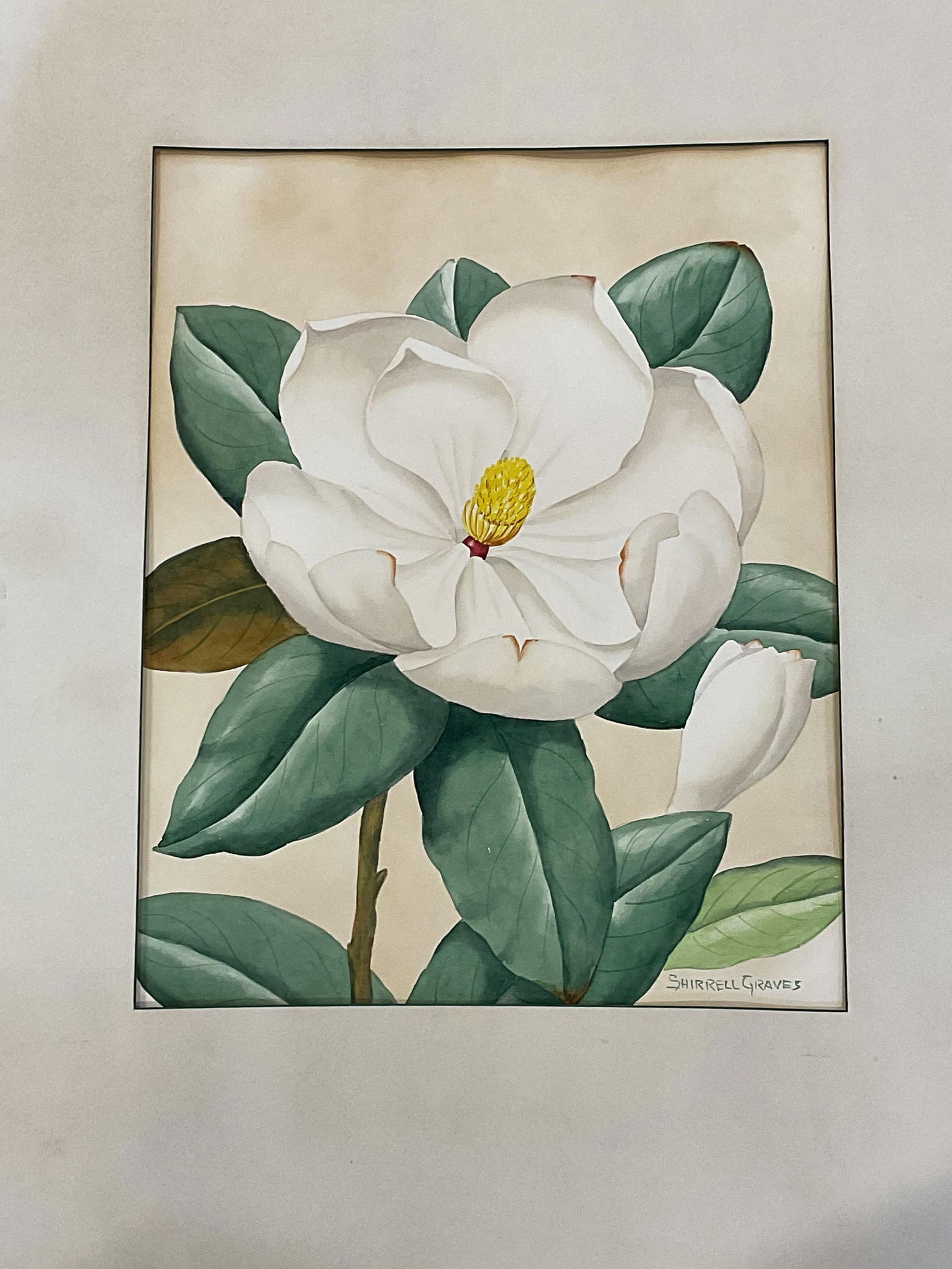 Sgn Shirrell Graves Magnolia Watercolor Painting: Matted watercolor painting. Signed Shirrell Graves (American, 1884-1959). Magnolia flower. Not examined out of frame. Paper measures approx. 19 x 14 inches. Wear including foxing and tearing.