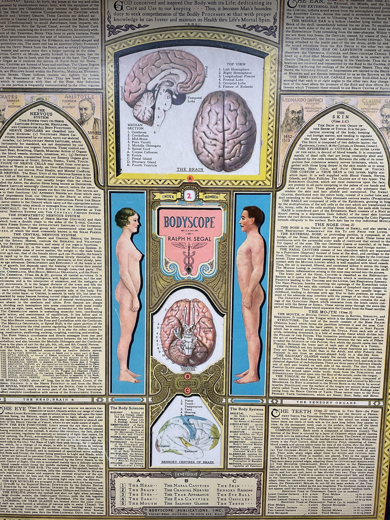 1930s/40s Segal Bodyscope Anatomical Chart 20in: Vintage circa 1930s/40s Bodyscope anatomical chart by Ralph H Segal. Educational tool with moveable wheels at sides that rotate labeled anatomical illustrations. Detailed illustrations and description