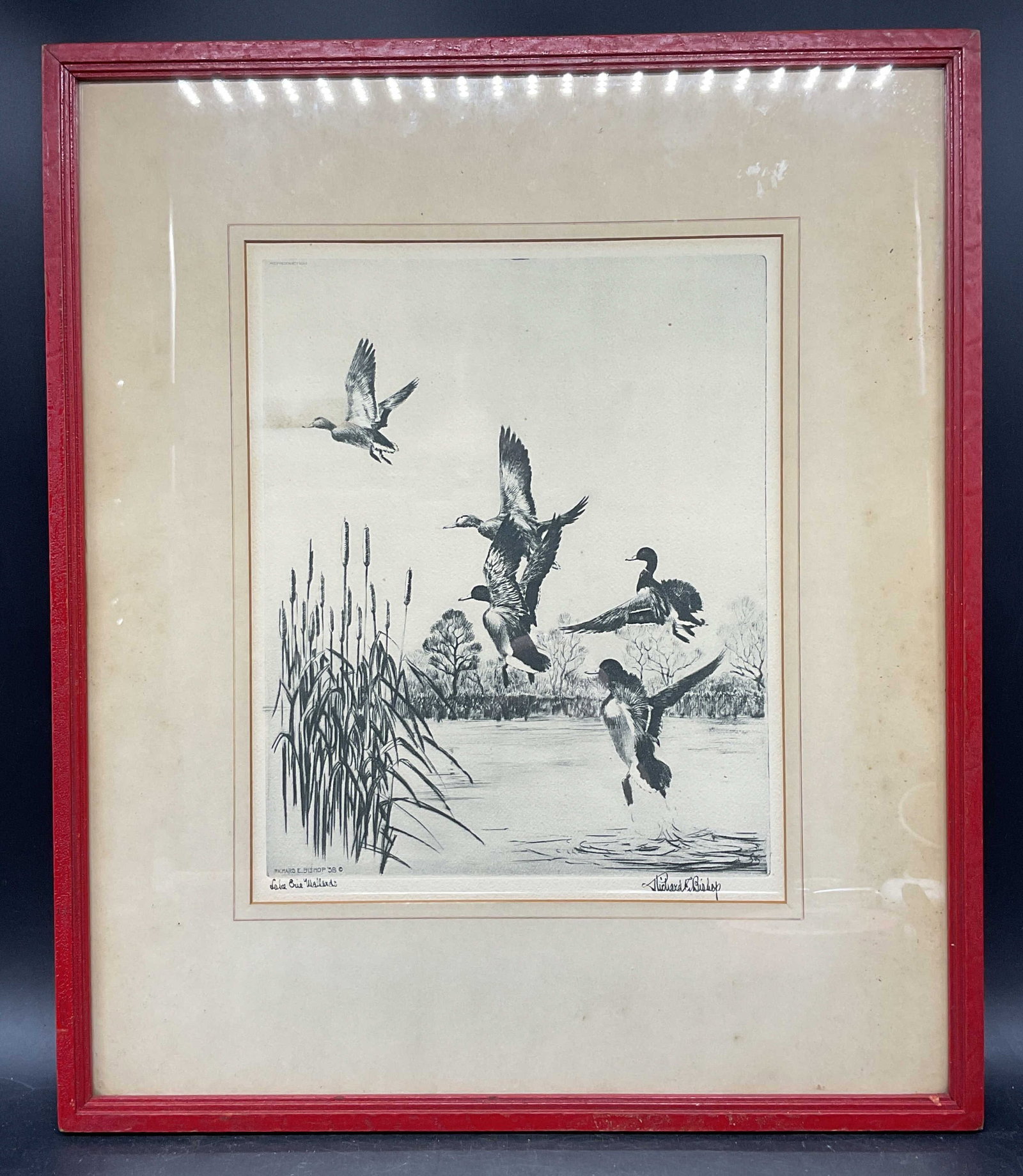 Richard Bishop Lake Eerie Mallards Fine Art Print (1 of 7)