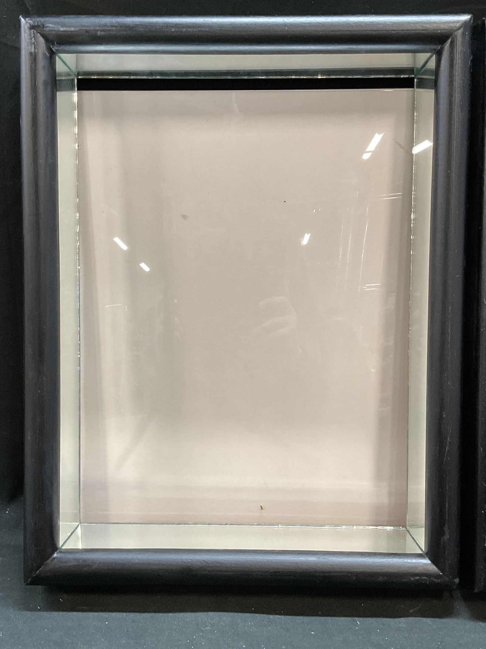 Pair Black Wood Mirrored Shadowbox Frames - 3