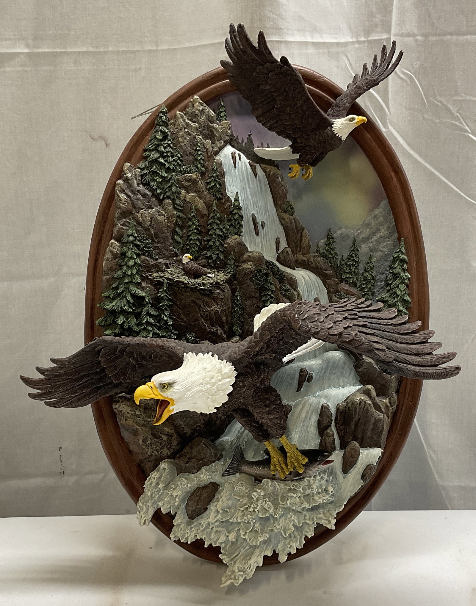 2010 Bradford Exchange Eagles Thundering Falls (1 of 10)