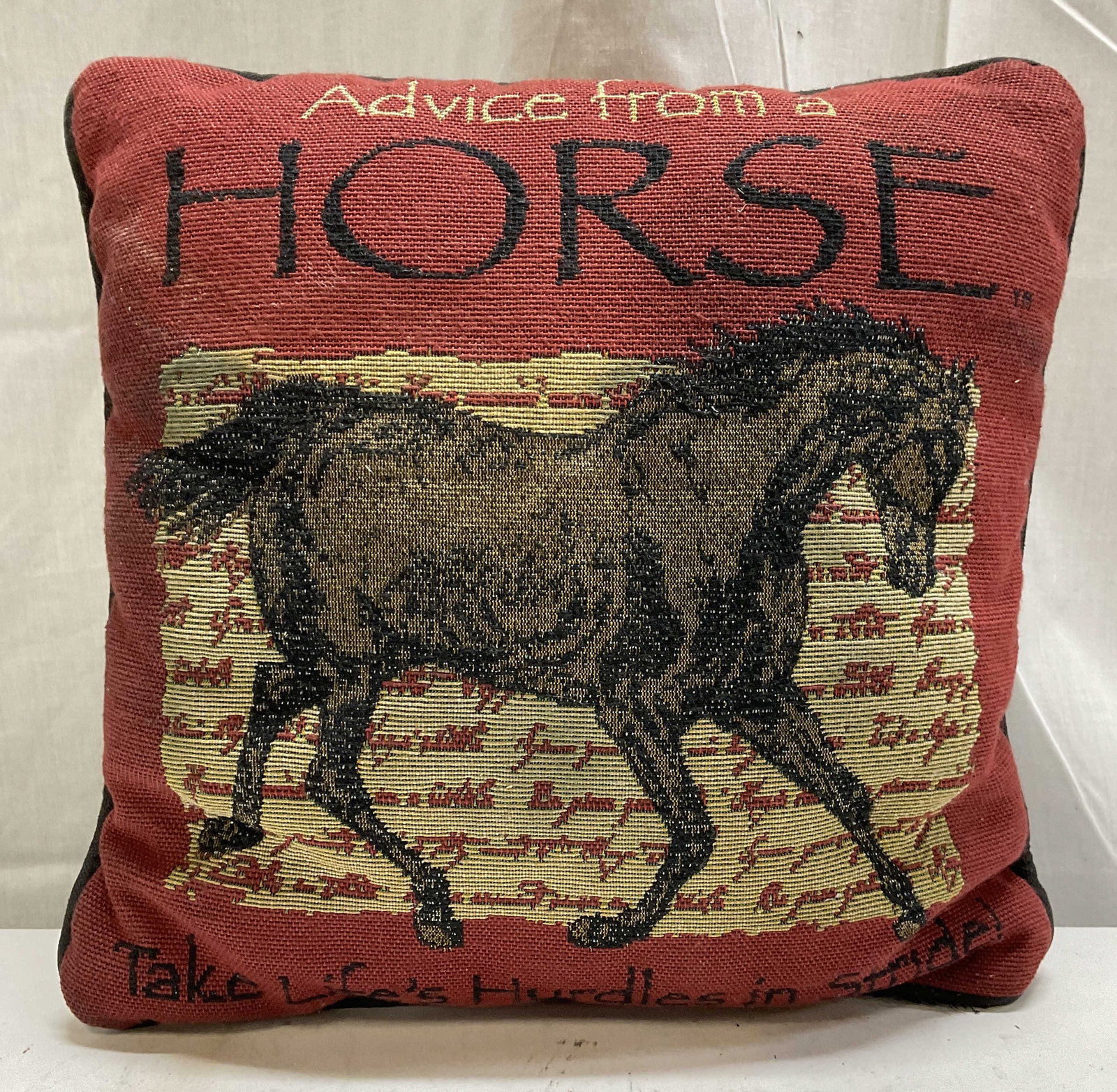 2009 Ilan Shamir Advice from a Horse Pillow (1 of 10)