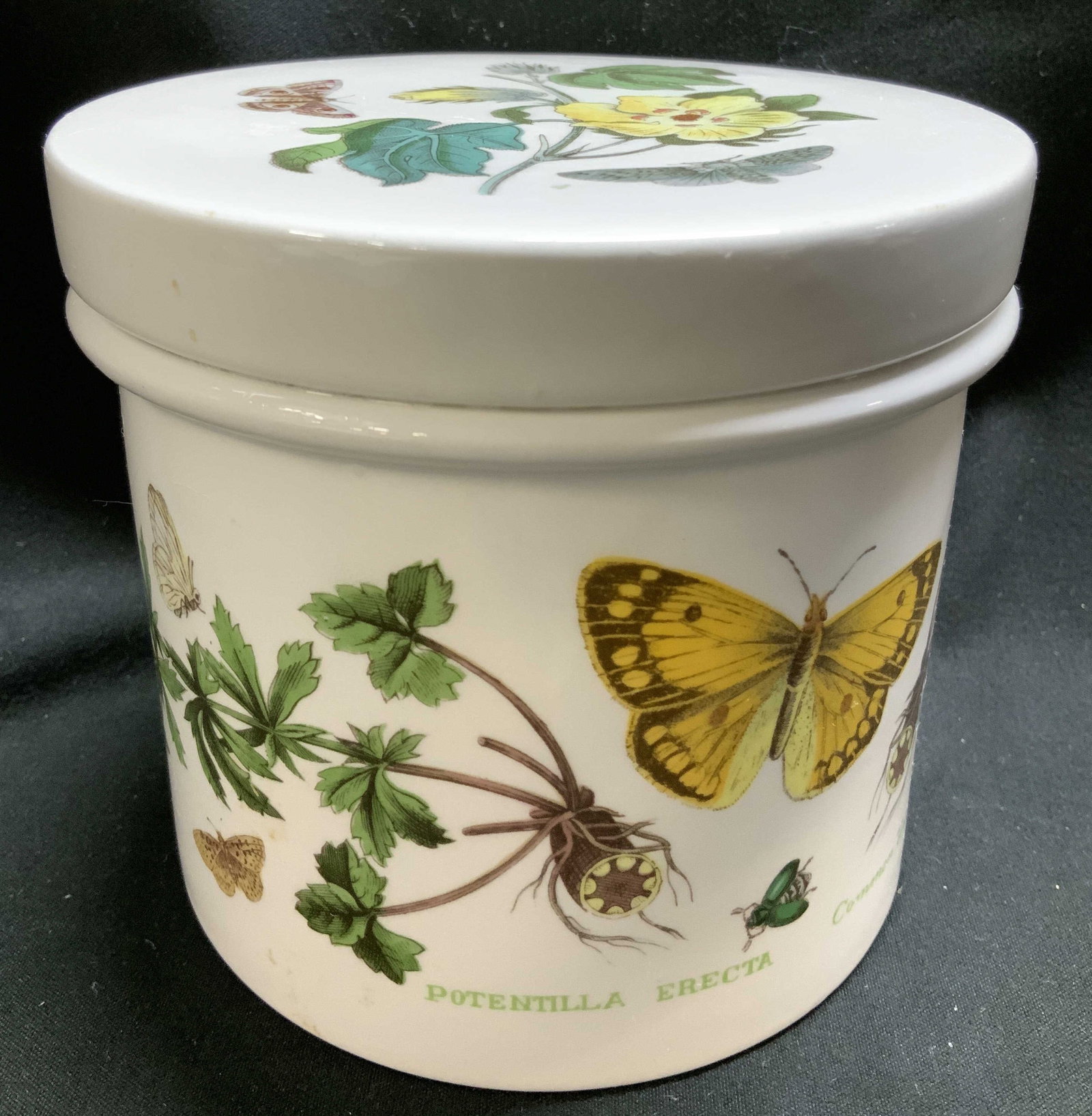 Botanic Garden Portmeirion Lidded Vessel BRITAIN (1 of 6)