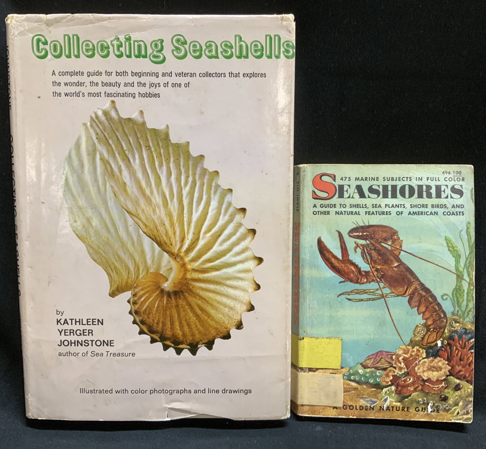 Lot 2 1950-1970s Seashores & Seashells Bks ZIM+ (1 of 11)