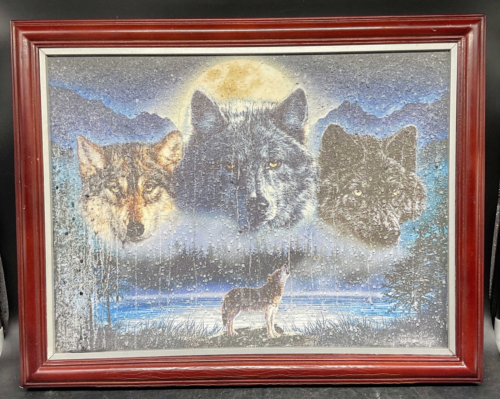 Bradford Crandall Eyes of The Night Wolf Print: Framed Bradford Exchange limited edition canvas print. Vivi Crandall, Eyes of the Night. Wolves. Inscribed on the verso. Wood frame. Not examined out of frame. Frame measures approx. 15.75 x 20 inches