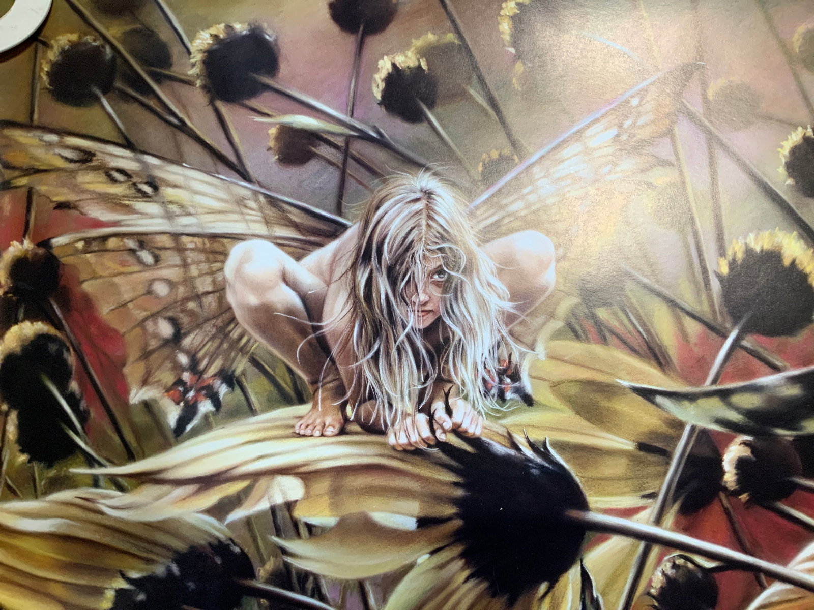 Sgnd 2007 Shiela Wolk Chameleon Fairy Poster 36in: 2007 Sheila Wolk Chameleon poster depicts a fairy crouched amidst sunflowers. Signed by artist on bottom left. Handwritten inscriptions that reads, For my wonderful friend Judith Love, Shiela Wolk. Si