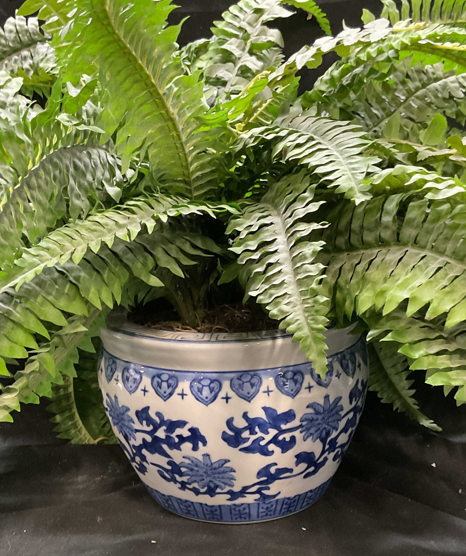 Blue & White Chinese Porcelain Jardiniere (1 of 7)