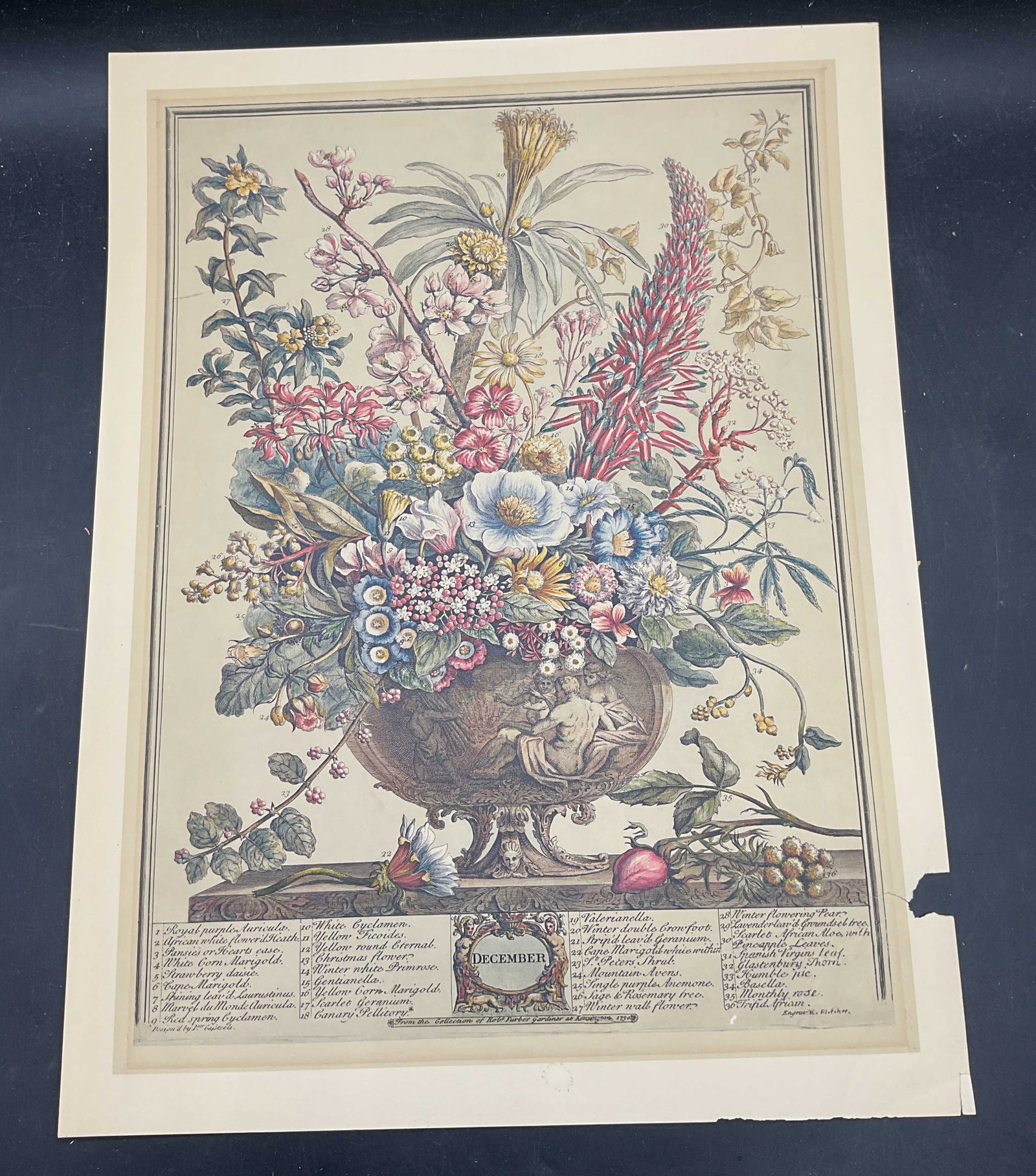 After Robert Furber December Flowers Litho (1 of 6)