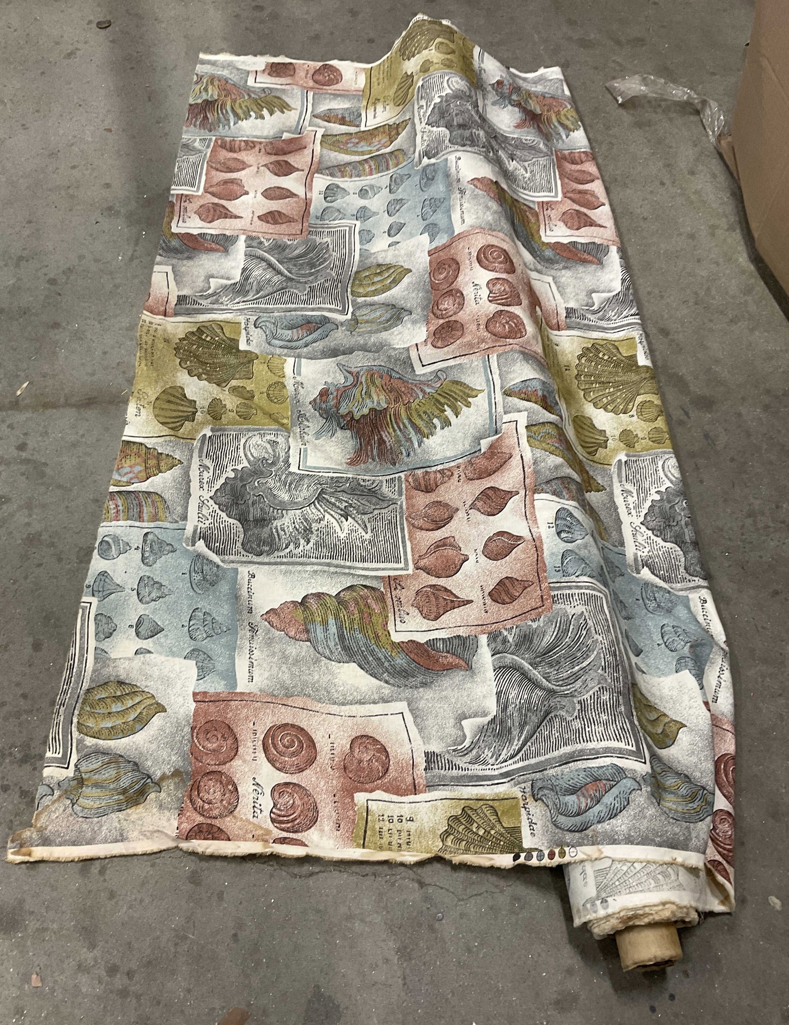 Patterson-Piazza Coquillage Seashell Fabric (1 of 8)