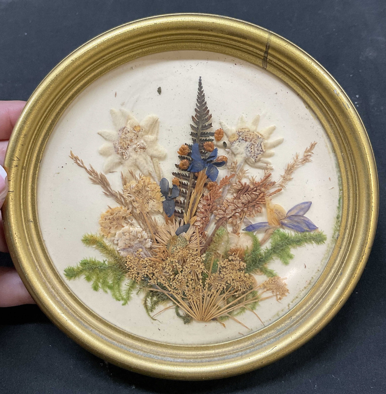 Lisa Framed Dried Flowers Wall Art Austria (1 of 7)