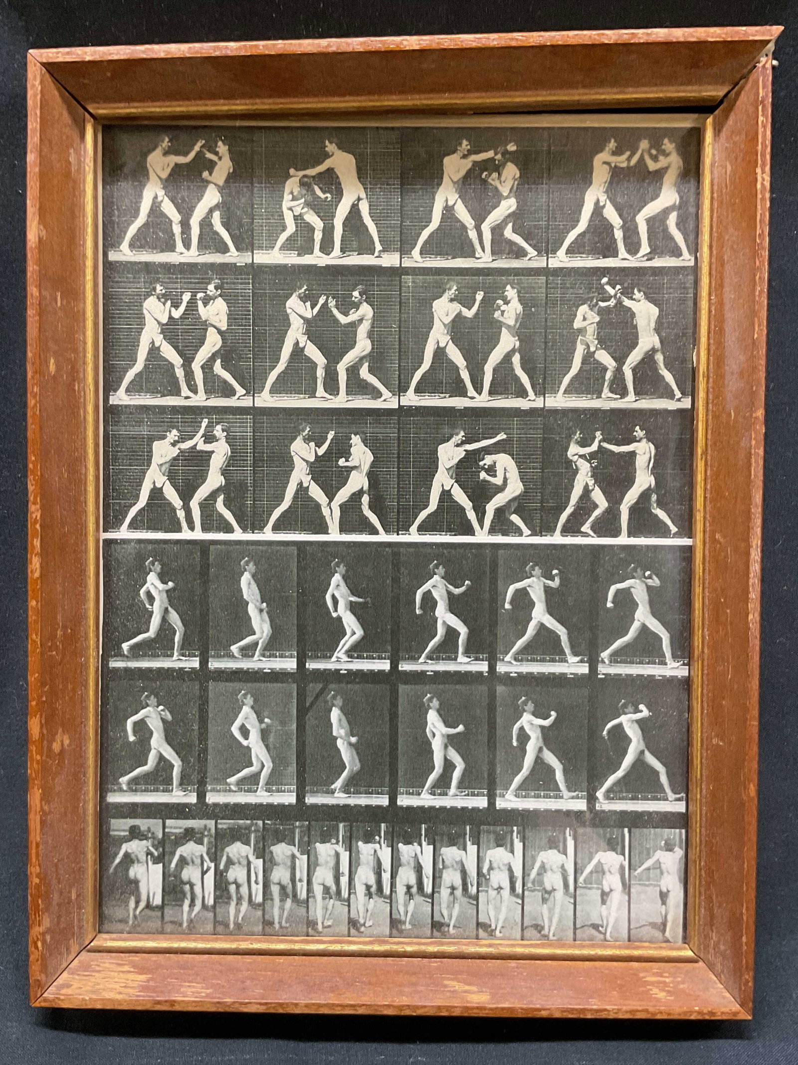 Eadweard Muybridge Black & White Motion Print (1 of 8)