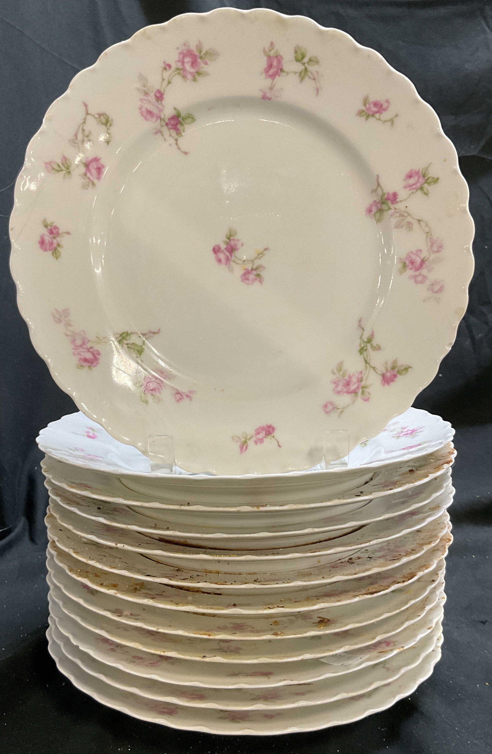 Set 12 HAVILAND Limoges Porcelain Dinner plates (1 of 7)
