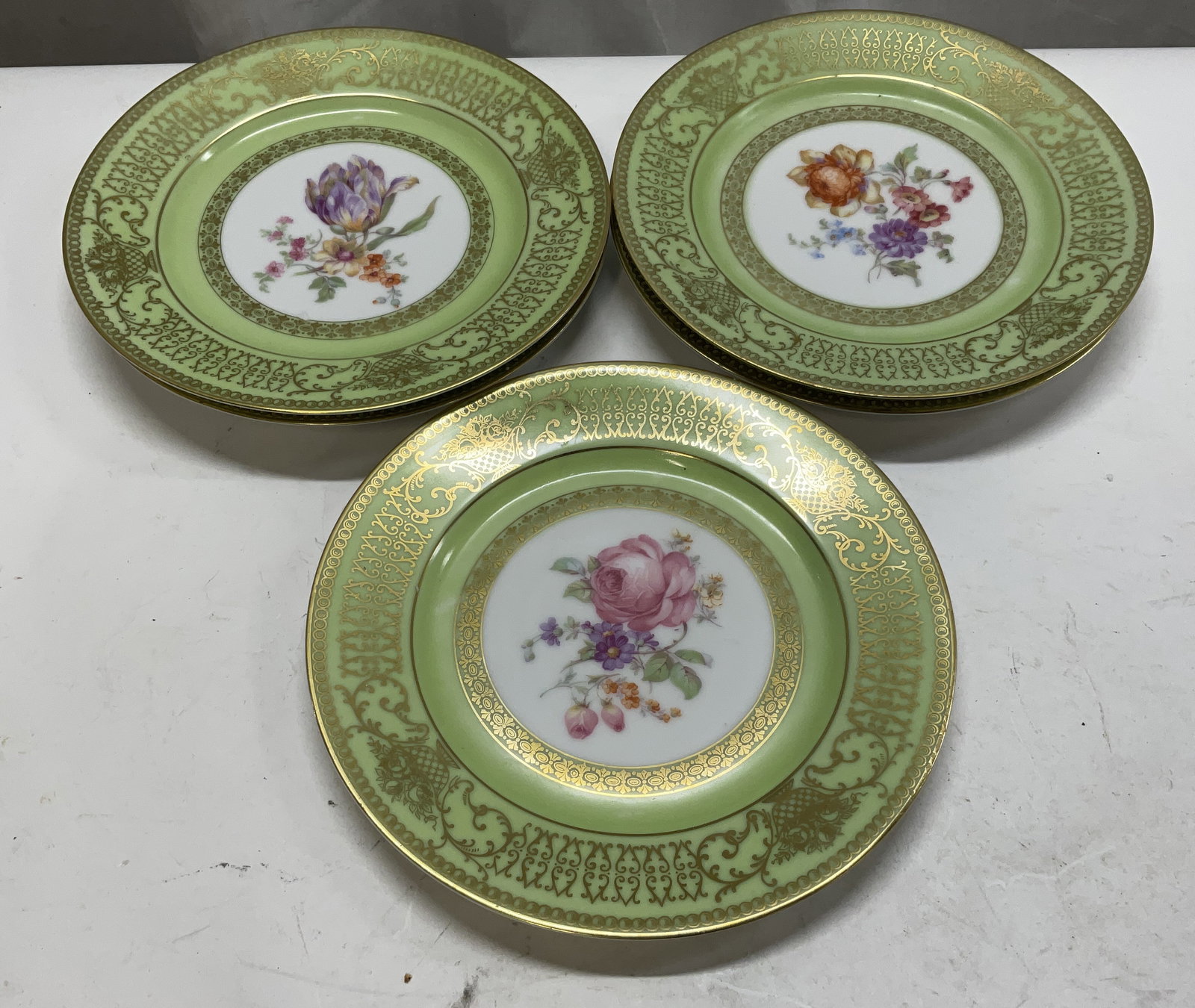 St5 ANTQ Tirschenreuth Bavaria Floral Plates (1 of 10)