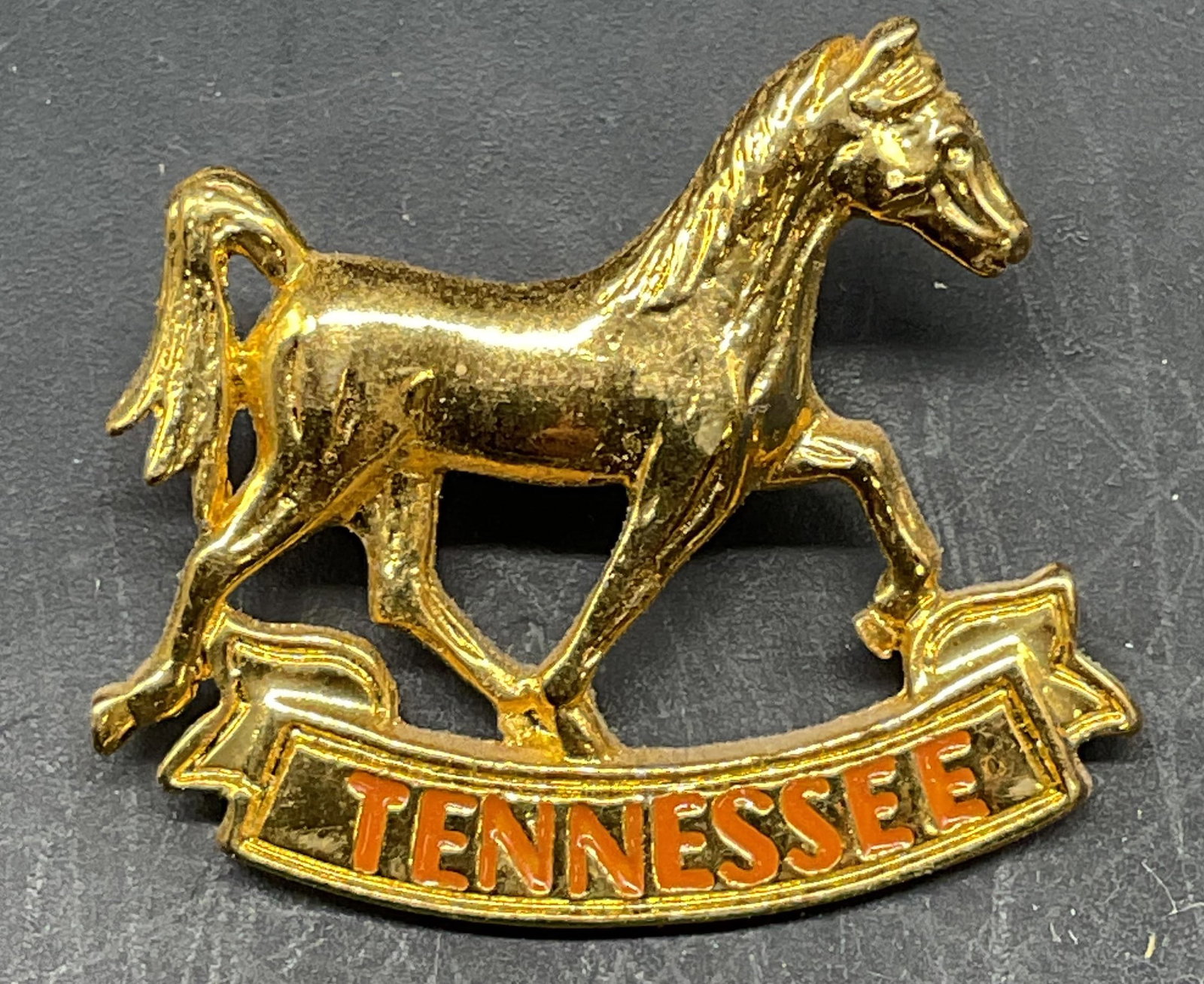 Gold Tone Tennessee Equestrian Horse Pin: Gold tone Tennessee equestrian horse motif pin. Measures approx. 1 x 1 inches. Some scratching. Jewelry, estate jewelry, costume jewelry, cocktail jewelry, fashion jewelry, accessories, fashion