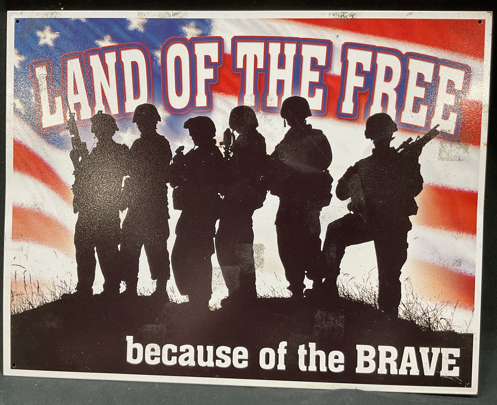 2012 Desperate Enterprises Land Of Free Sign USA (1 of 8)