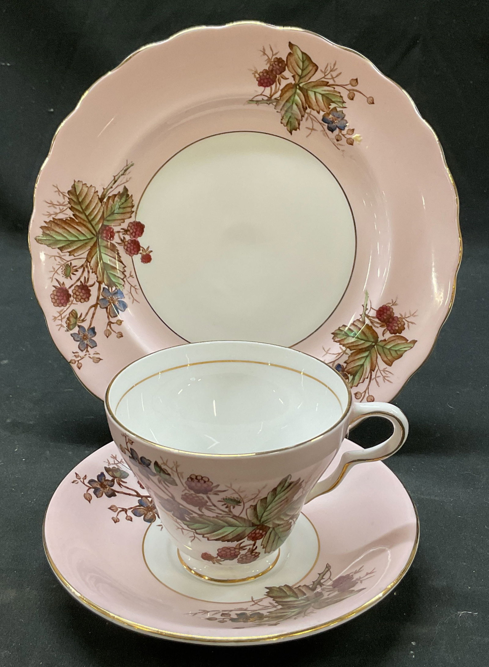 Set 3 Taylor & Kent Teacup, Saucer, Plate England: Set of 3 items. Taylor & Kent bone china teacup, saucer, and plate. Marked on underside, reads Bone China Taylor & Kent Longton England. Scalloped gilt edges. Pink background. Leaf, berry, and floral