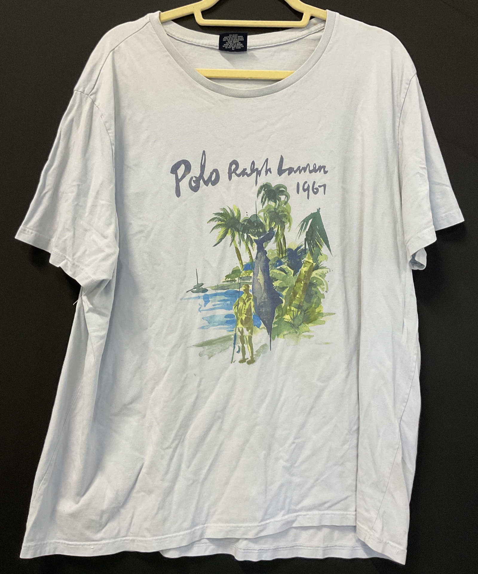 Polo Ralph Lauren Graphic Tee: Polo Ralph Lauren graphic tee. 100% cotton. Size XXL. Light blue. Graphic of trees, water, figure, etc. in varying colors. Reads Polo Ralph Lauren 1967. Wear consistent with exposure, blemishes.