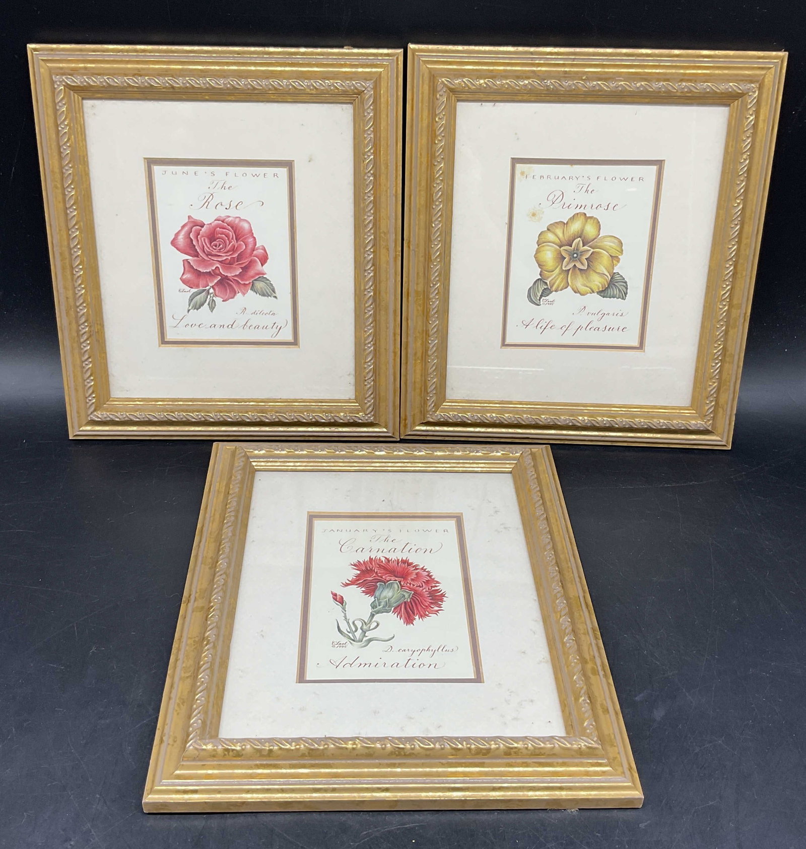 Lot 3 Constance Lael Flower Lithographs: Lot of 3 framed and matted lithographs. Constance Lael. Flowers of the month. January/carnation, February/primrose, June/rose. Gilt wood framed. Not examined out of frames. Frames measures approx. 8.5