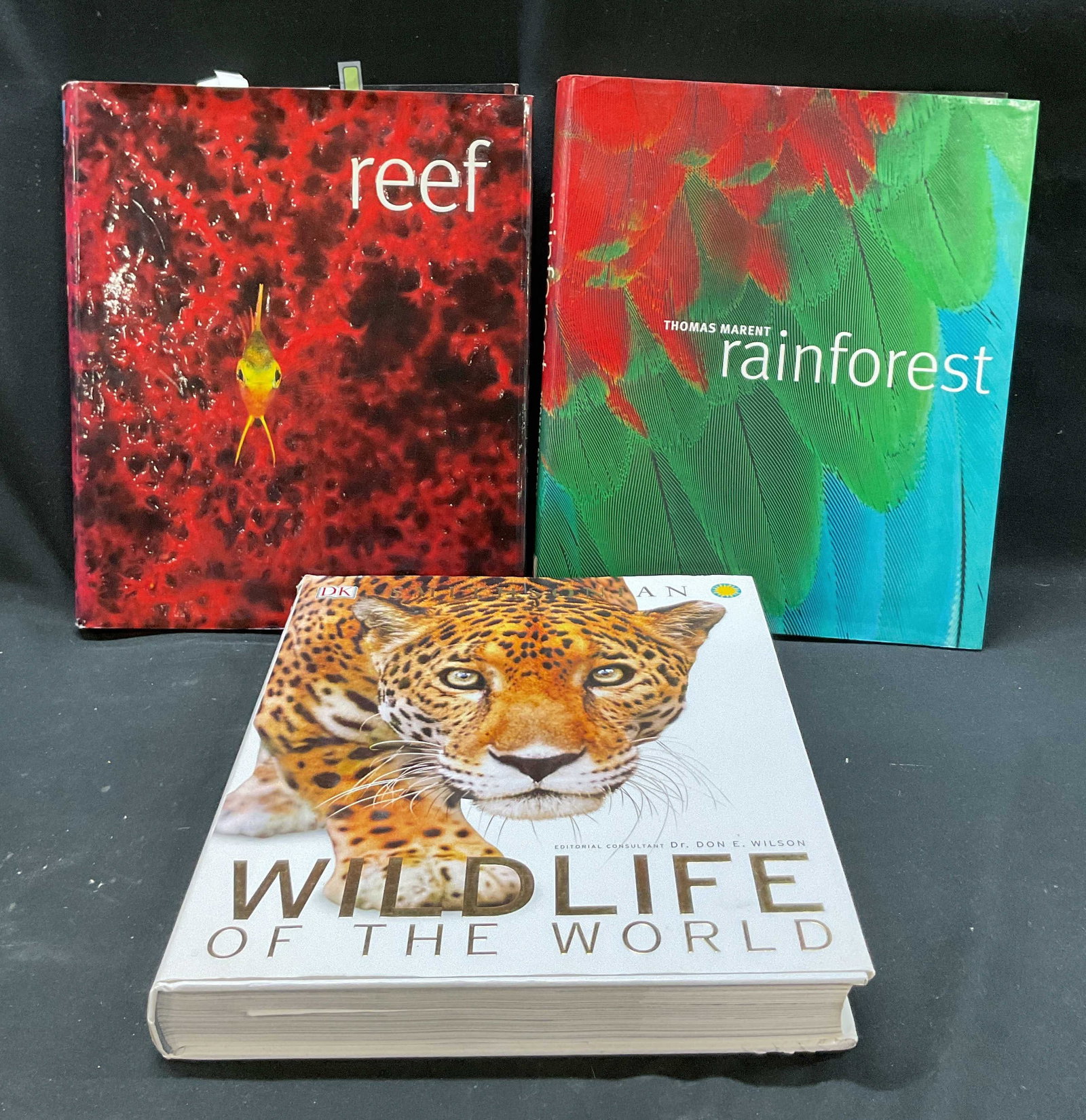 Grp Lot 3 Assorted Animal Illustrated Books+: Group lot of 3 assorted animal books. Reef by Scubazoo, 2007, book comes with DVD. Rainforest by Thomas Marent with Ben Morgan, 2006. Smithsonian Wildlife Of The World, 2015. Hard cover. Contains illu