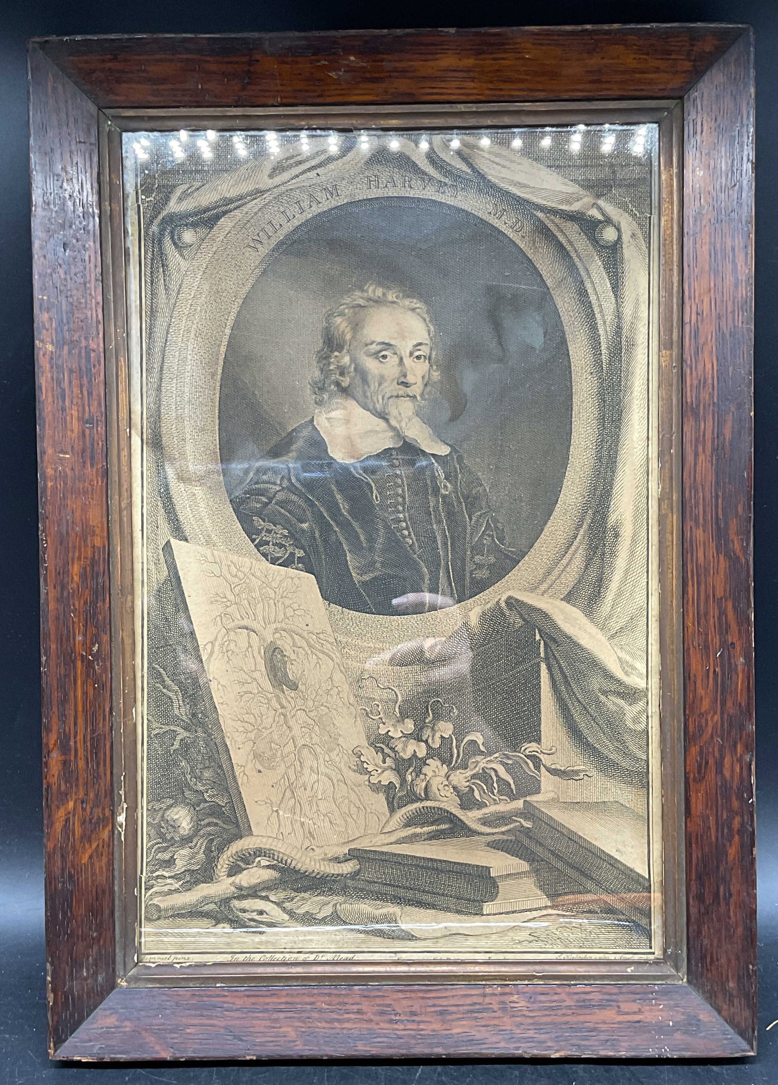 After Houbraken William Harvey Engraving (1 of 6)