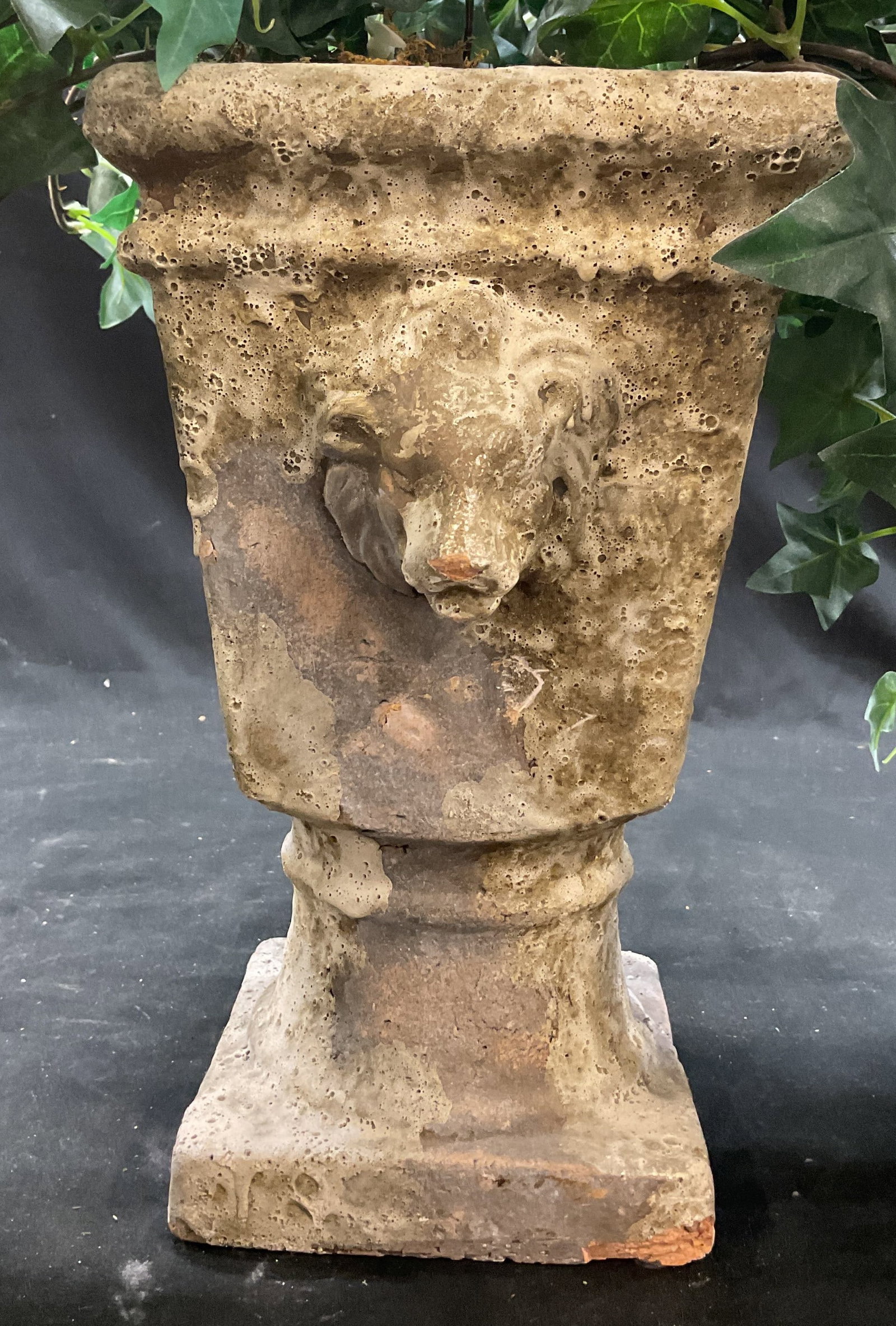 White Tone Terra Cotta Lion Head Planter: Lion head planter cylindrical form, flared lower portion on square base, comes with faux ivy, chips and wear to surface, measures as shown ht 17 inches, base of planter measures 6 by 6.5 inches, bulk