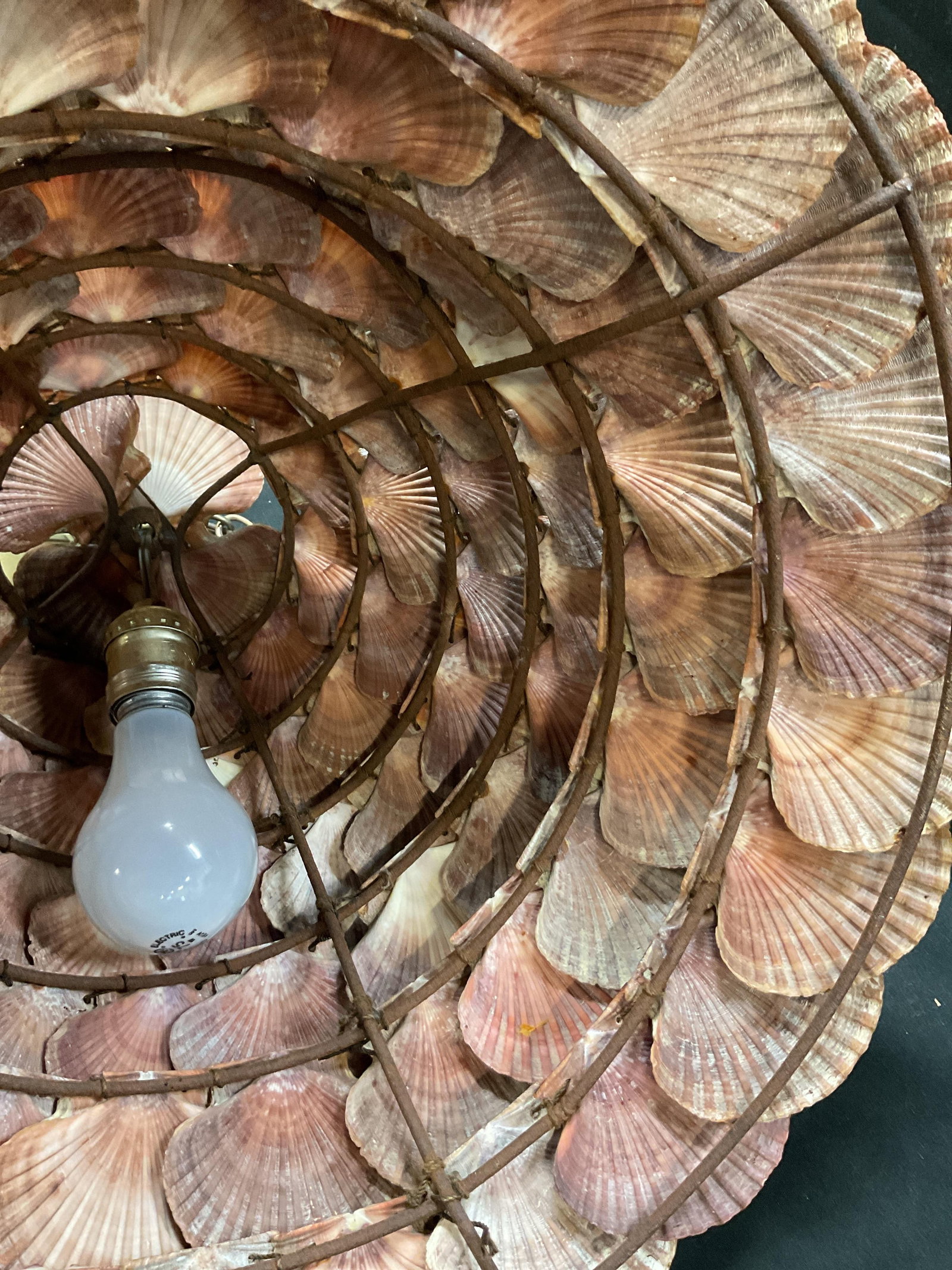 Layered Shell Ceiling Light Fixture - 10