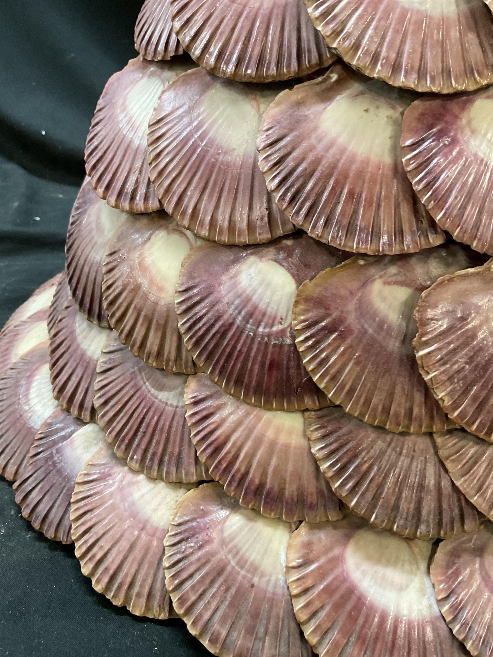 Layered Shell Ceiling Light Fixture - 4