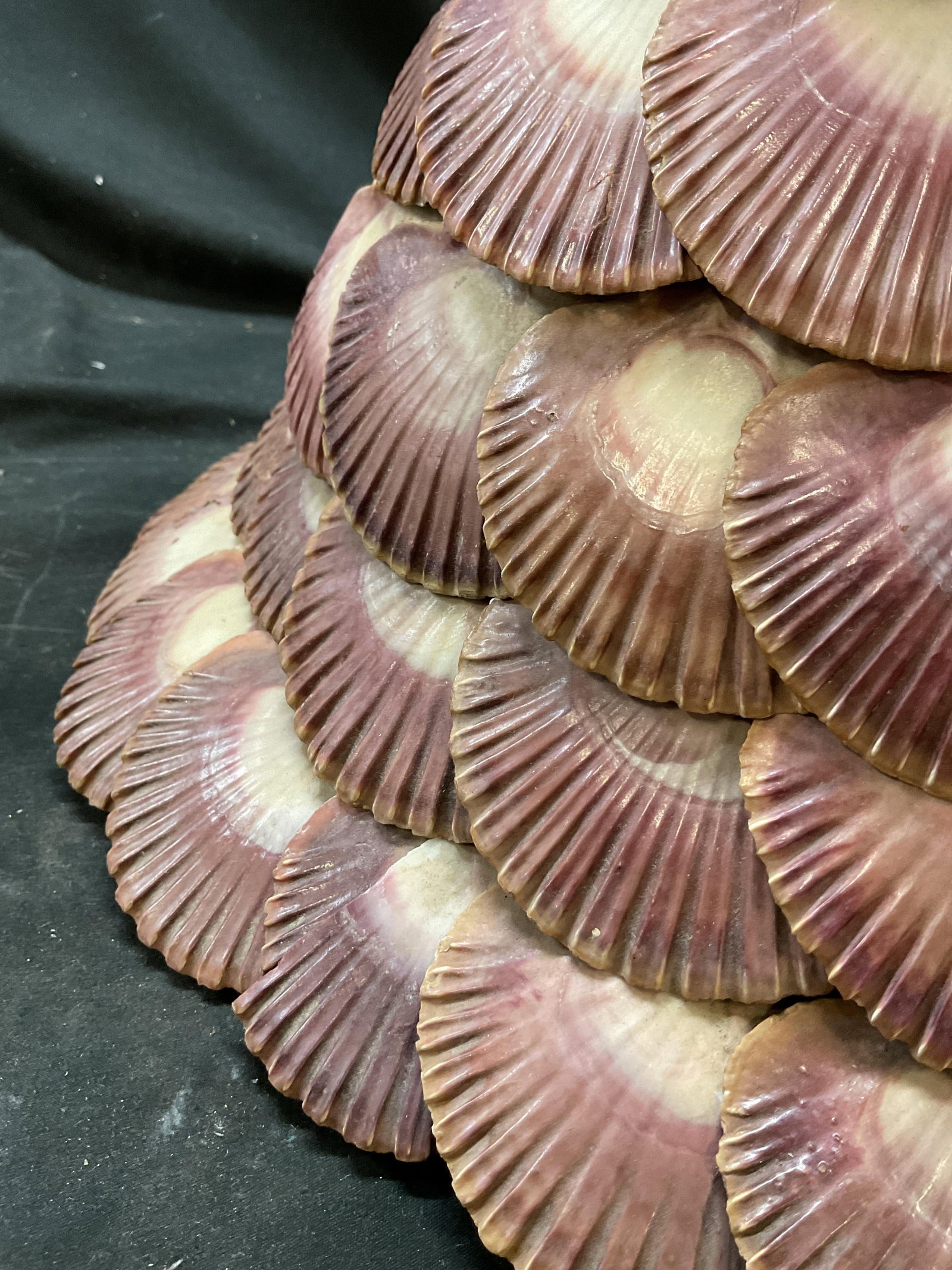 Layered Shell Ceiling Light Fixture - 5