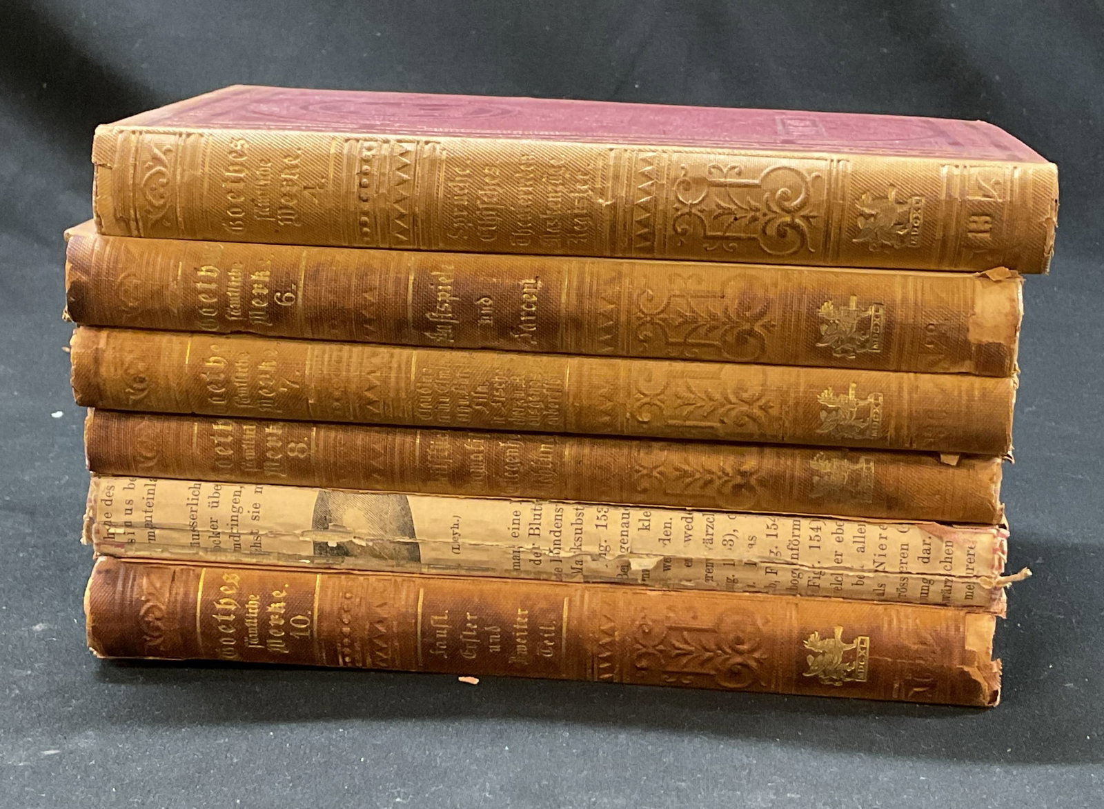 Set 6 1800s Goethes Complete Works Books (1 of 7)