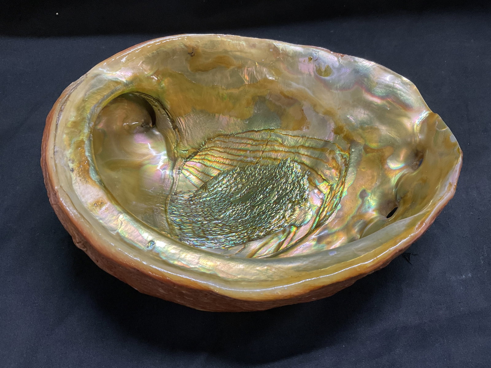 Natural Red Abalone Shell Mother-Of-Pearl Interior (1 of 8)