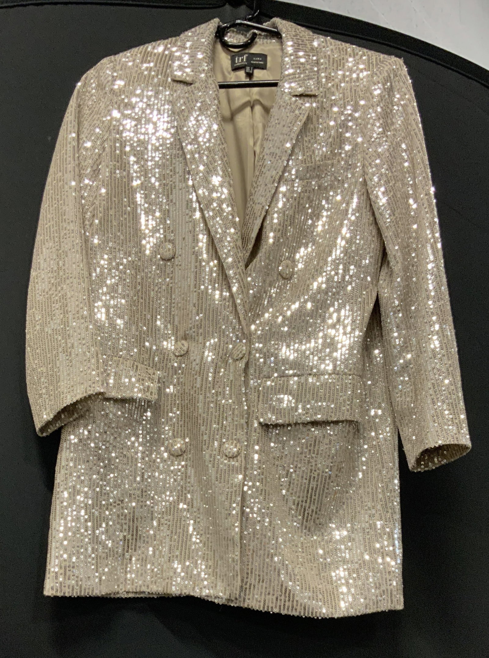 Zara TRF collection sequin blazer (1 of 6)