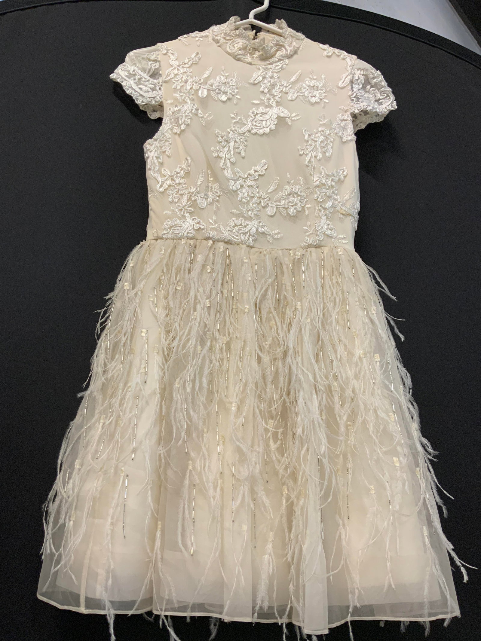 Alice and Olivia lace and feather dress (1 of 7)