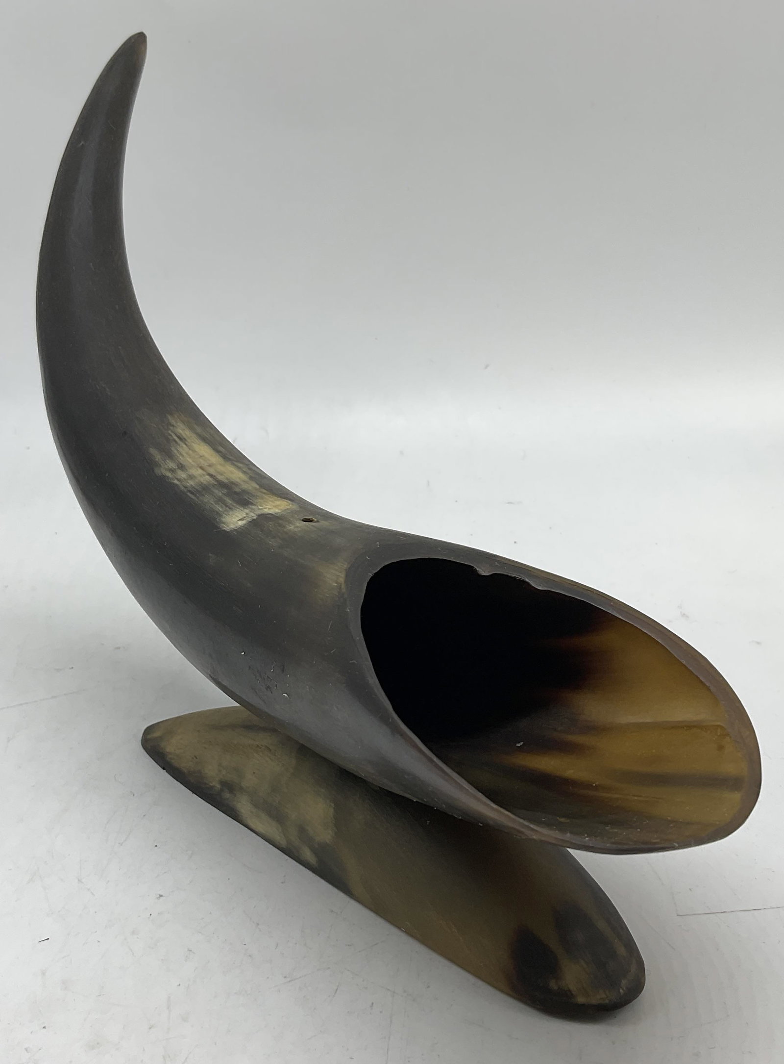 Polished Viking Genuine Drinking Horn USA (1 of 7)