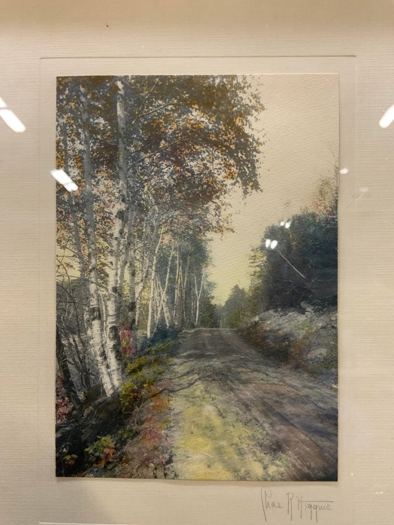 Antq Charles R. Higgins Hand Colored Photograph (1 of 6)